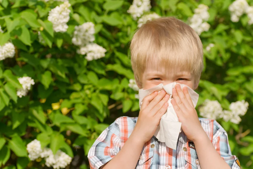 Allergy.jpg