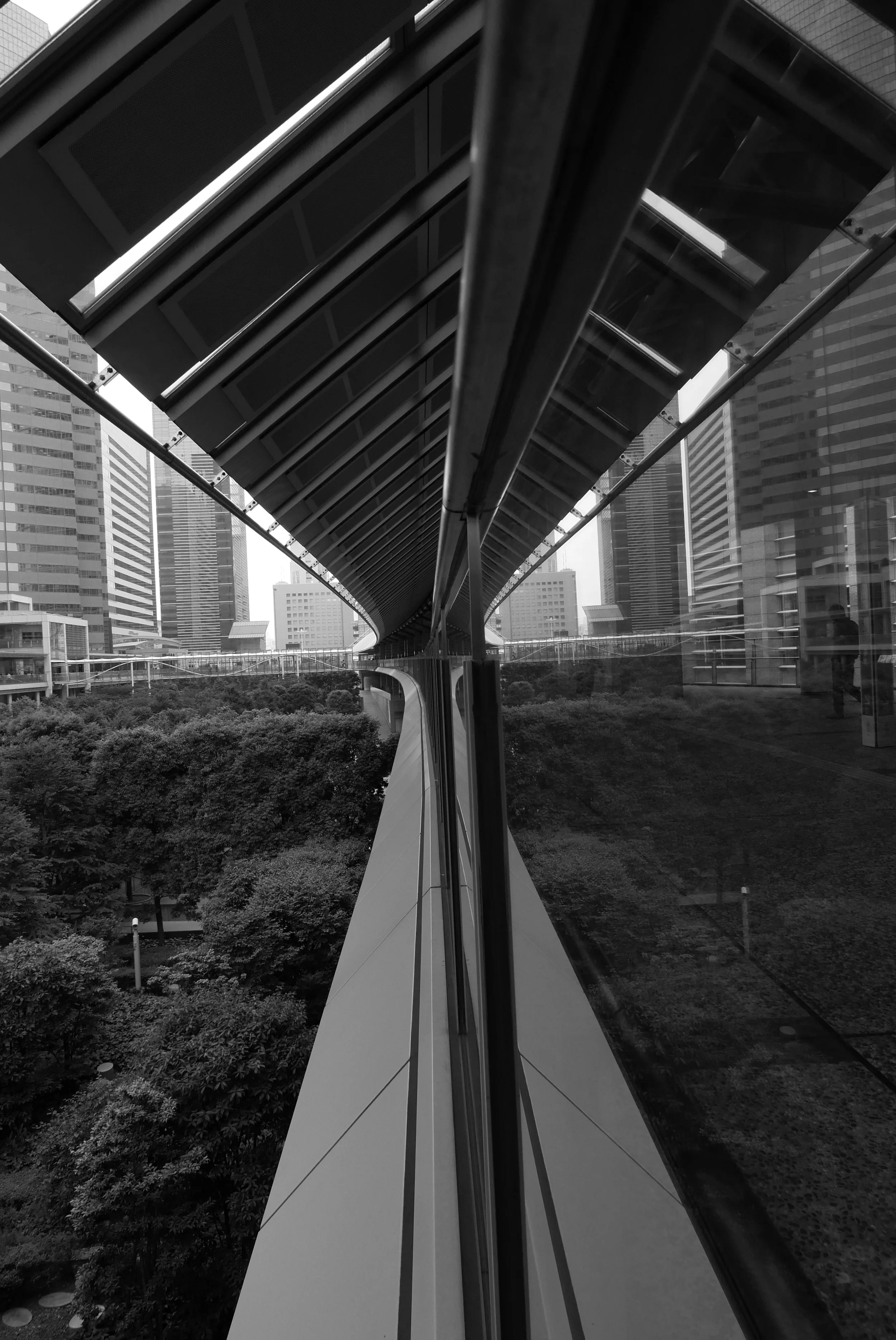 P1000085.JPG