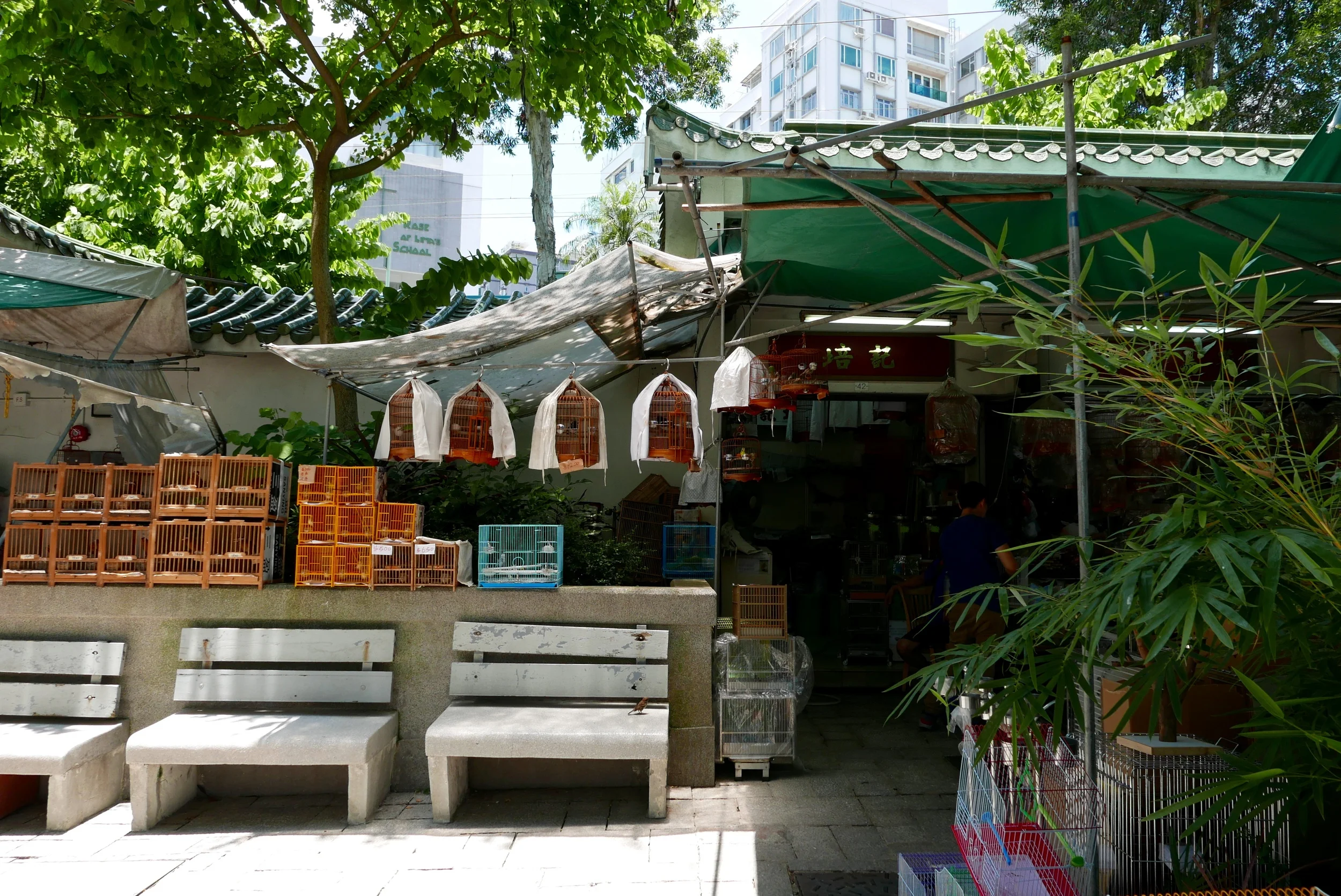 A canopy of cages.