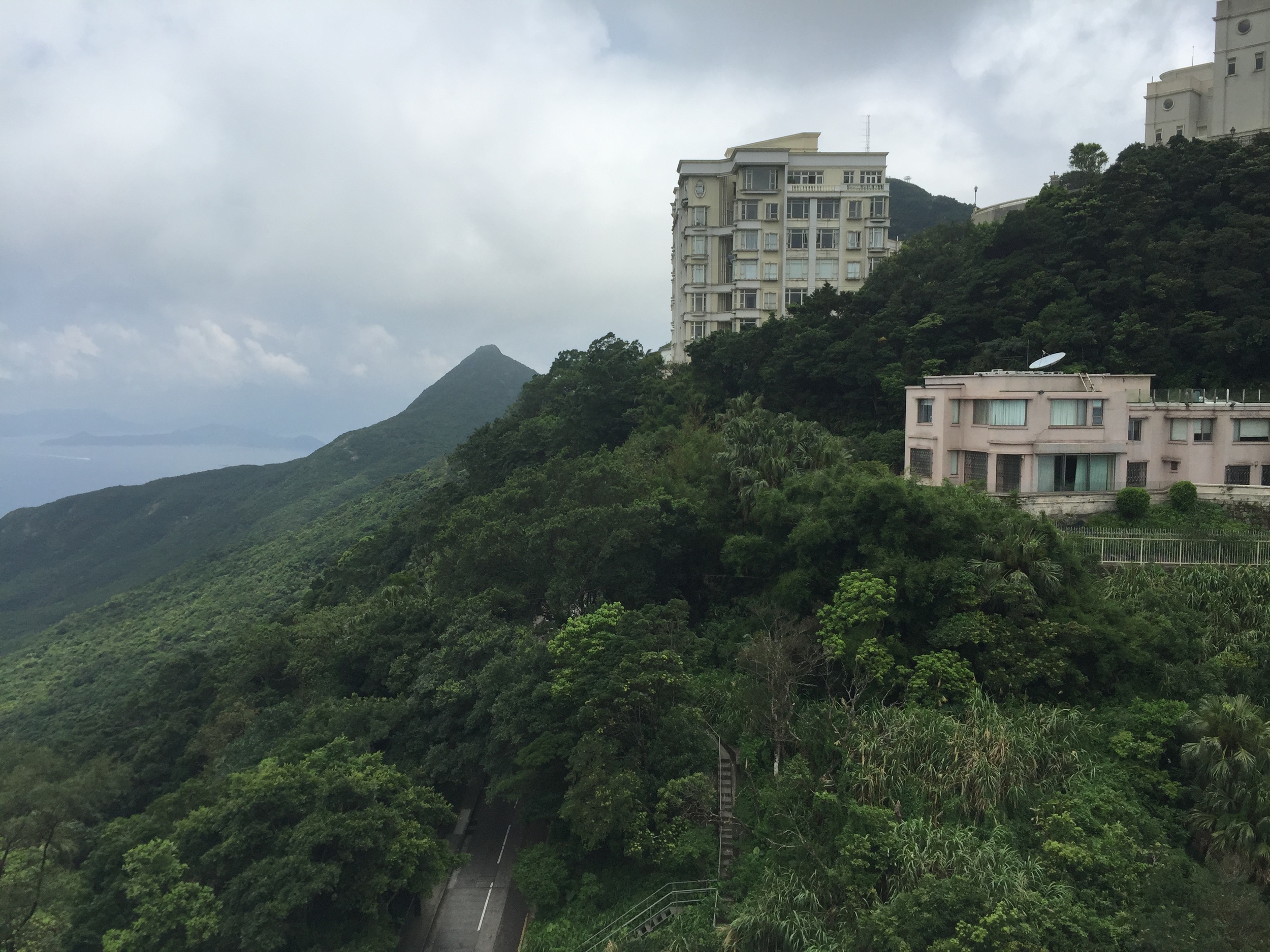 The green expanse of Mount Austin.