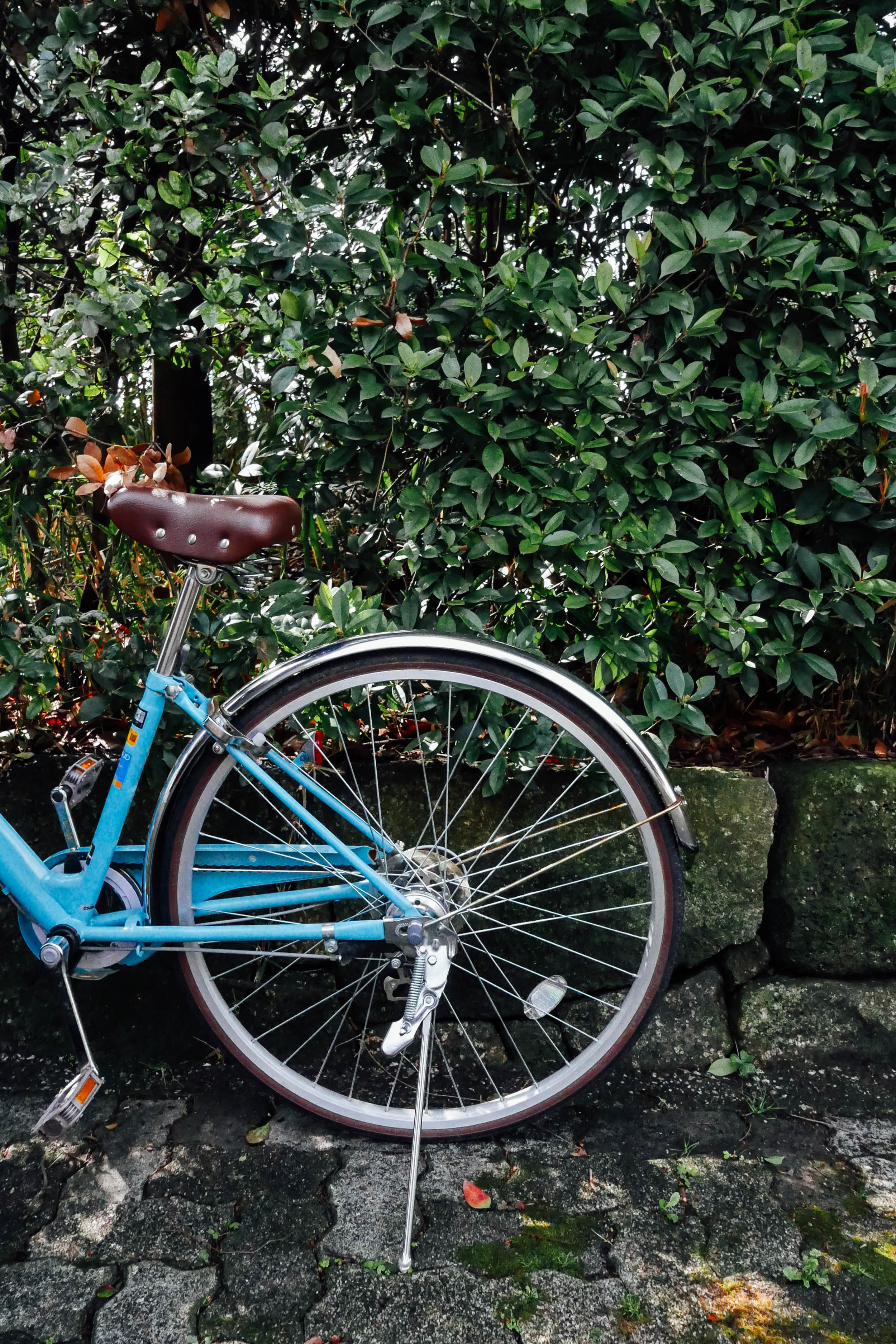 japan-bicycle.jpg