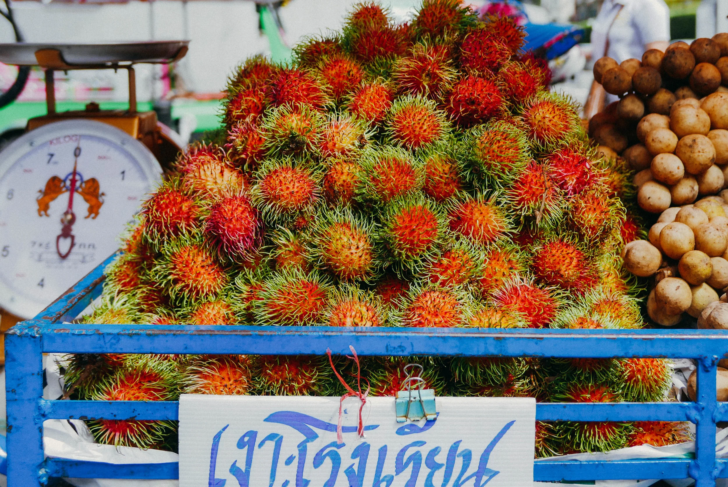 {above: rambutan, derived from the malay word meaning "hairy" | below: scenes from the market}