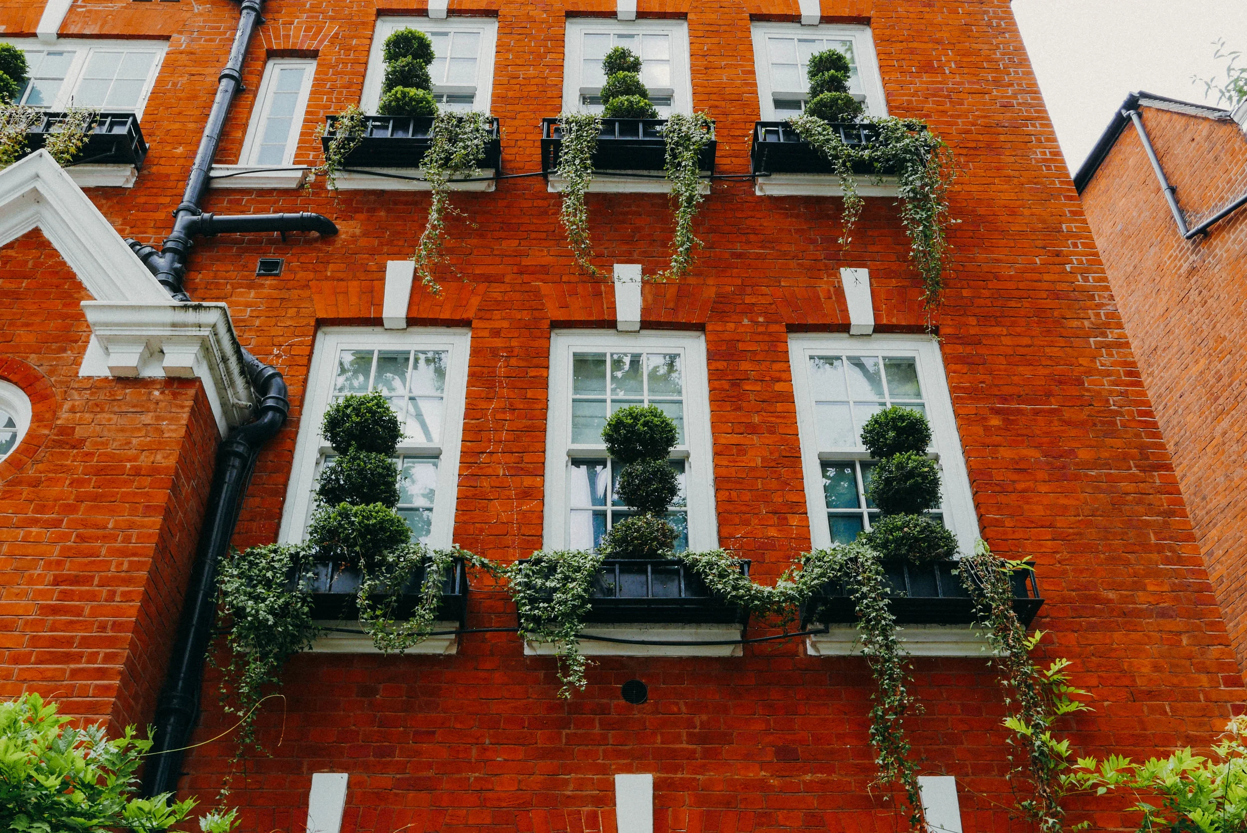 {Maaajor windowsill envy!}