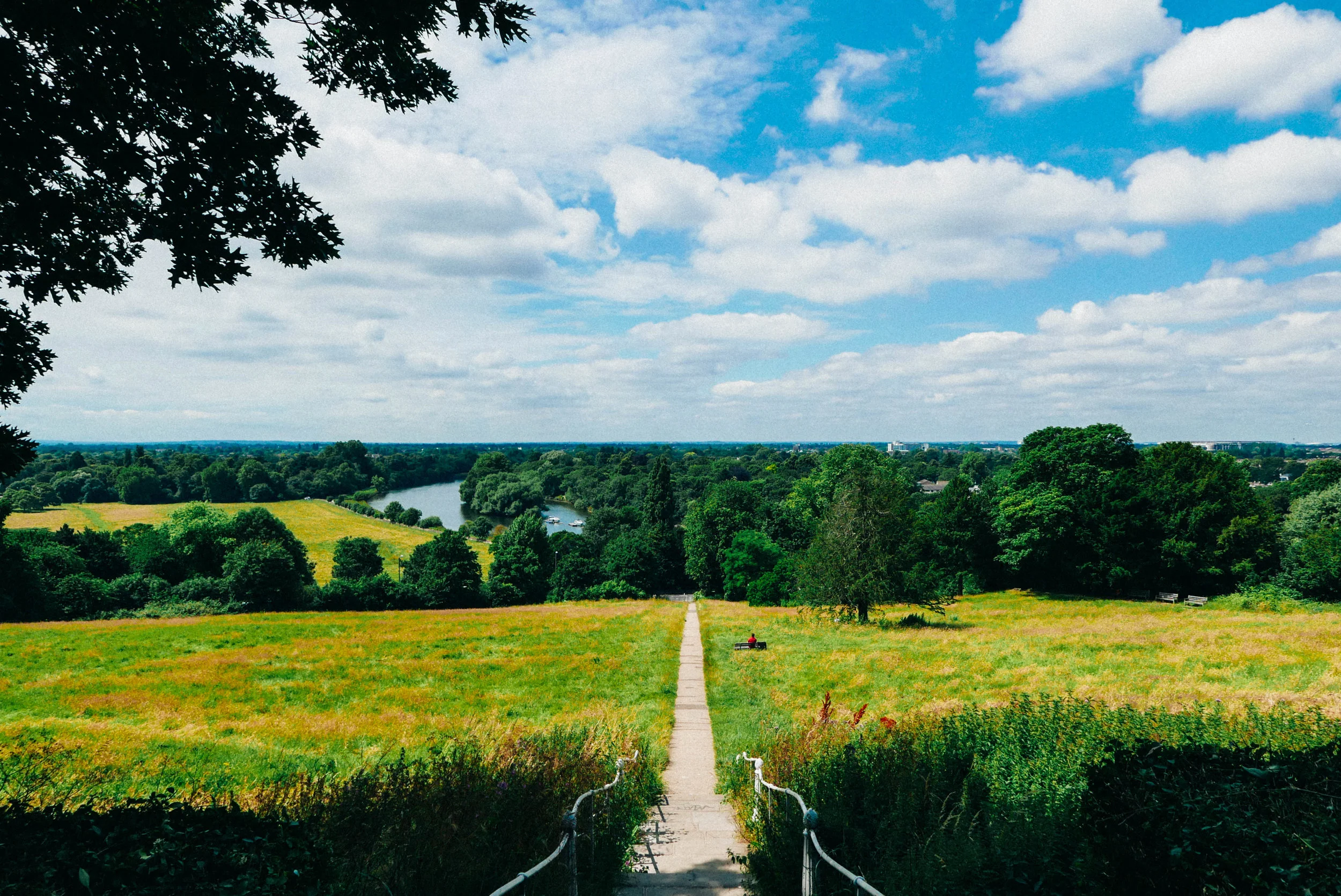 {Above & Below: scenes from Richmond}
