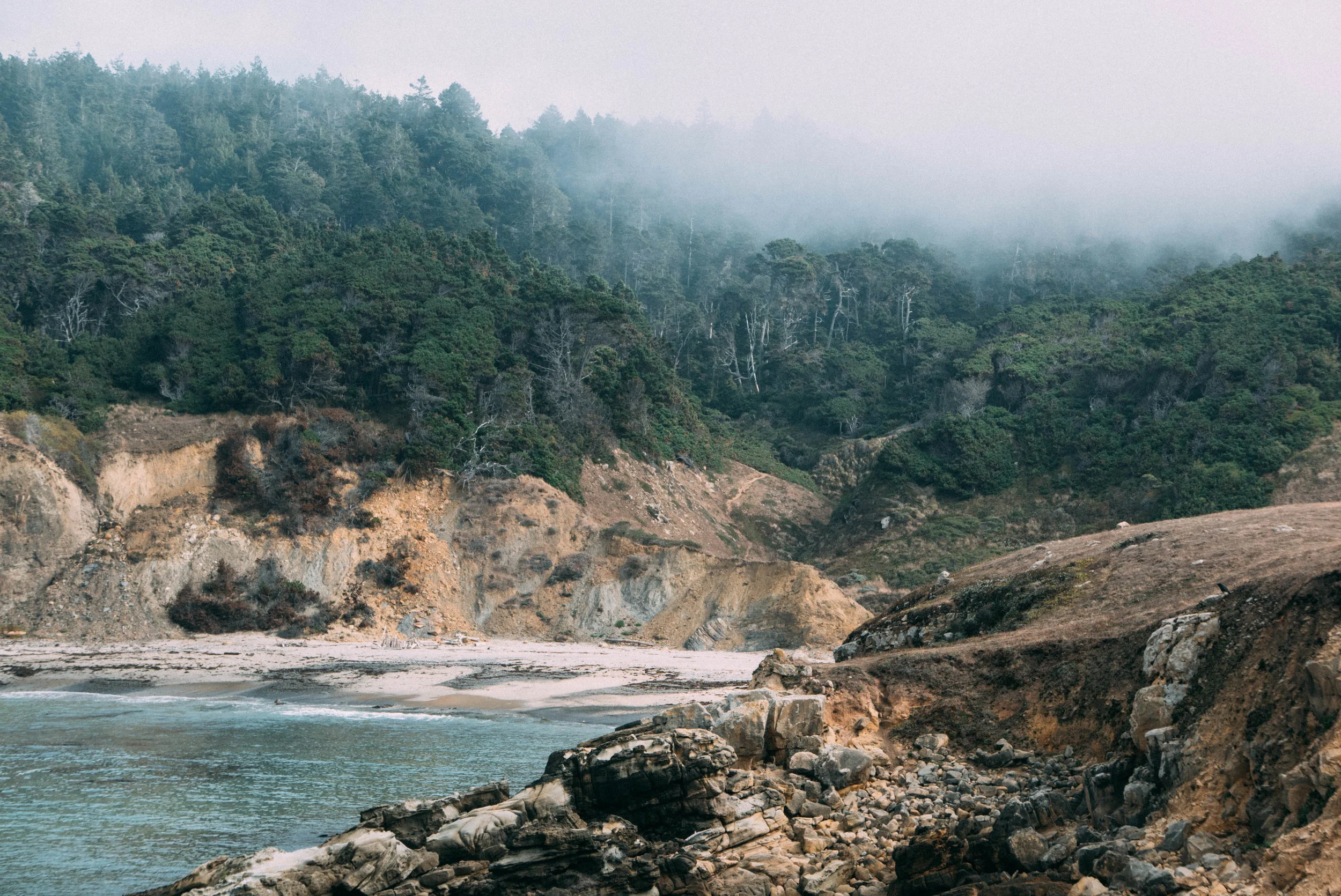 Salt Point State Park-43.jpg