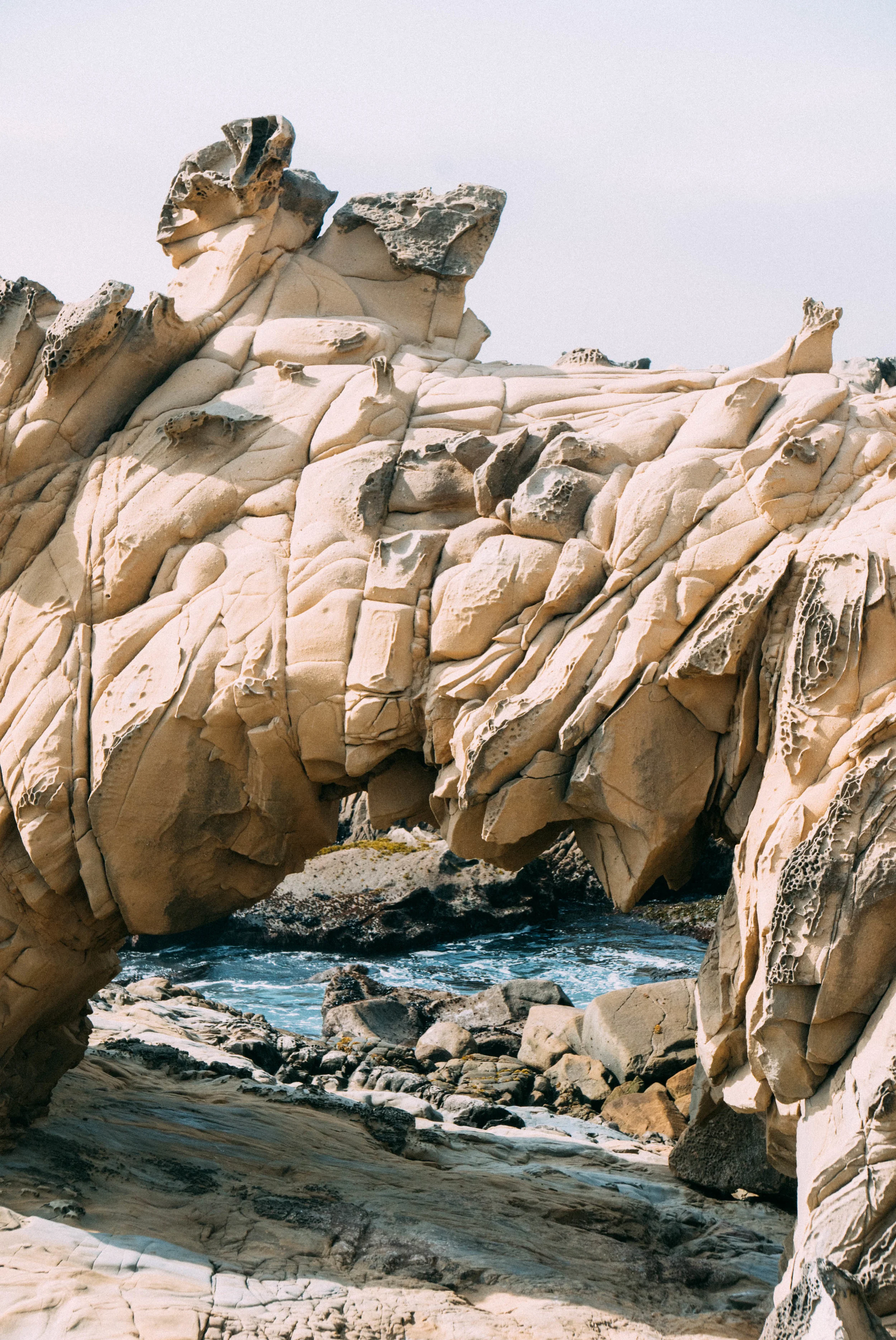Salt Point State Park-31.jpg