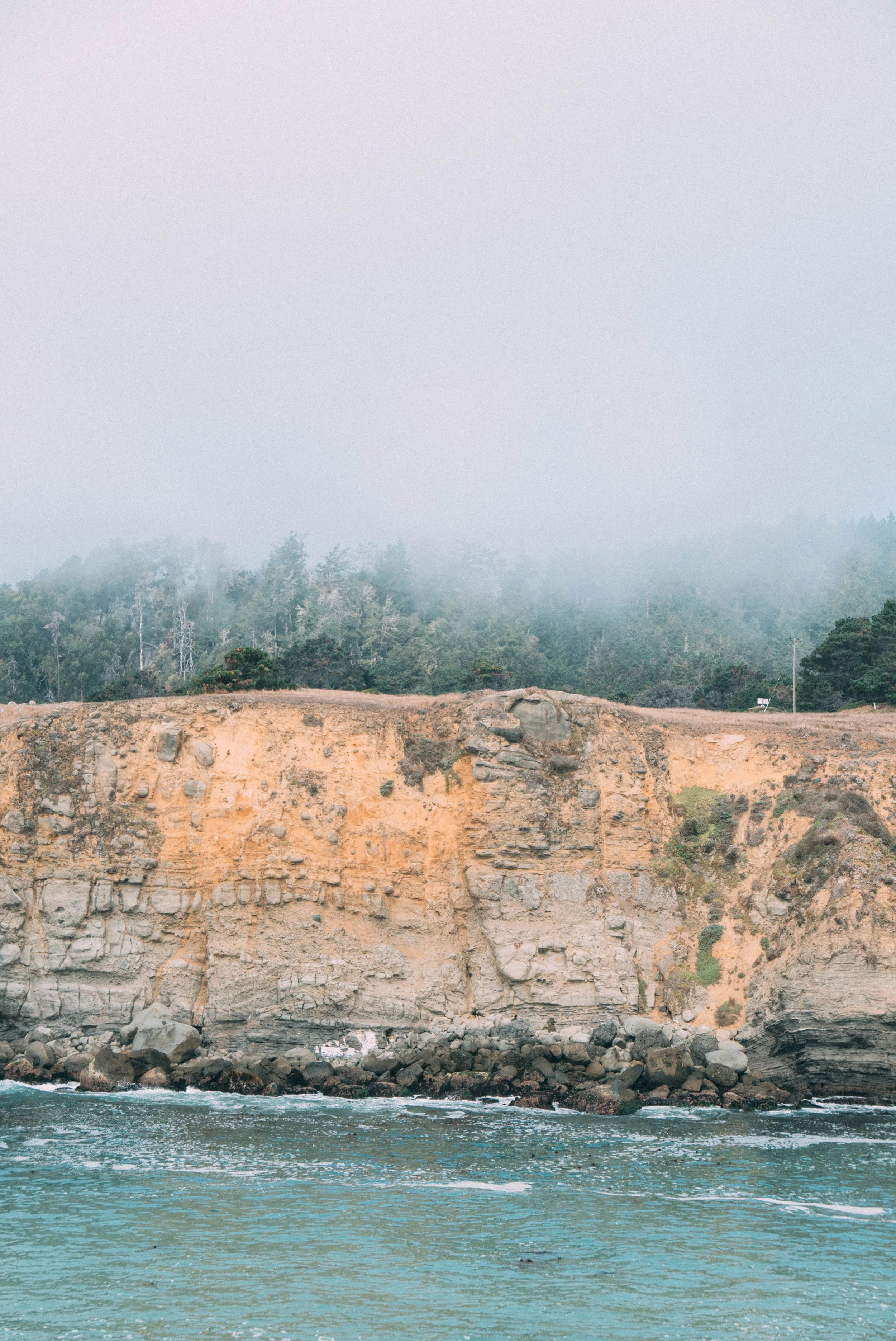 Salt Point State Park-40.jpg