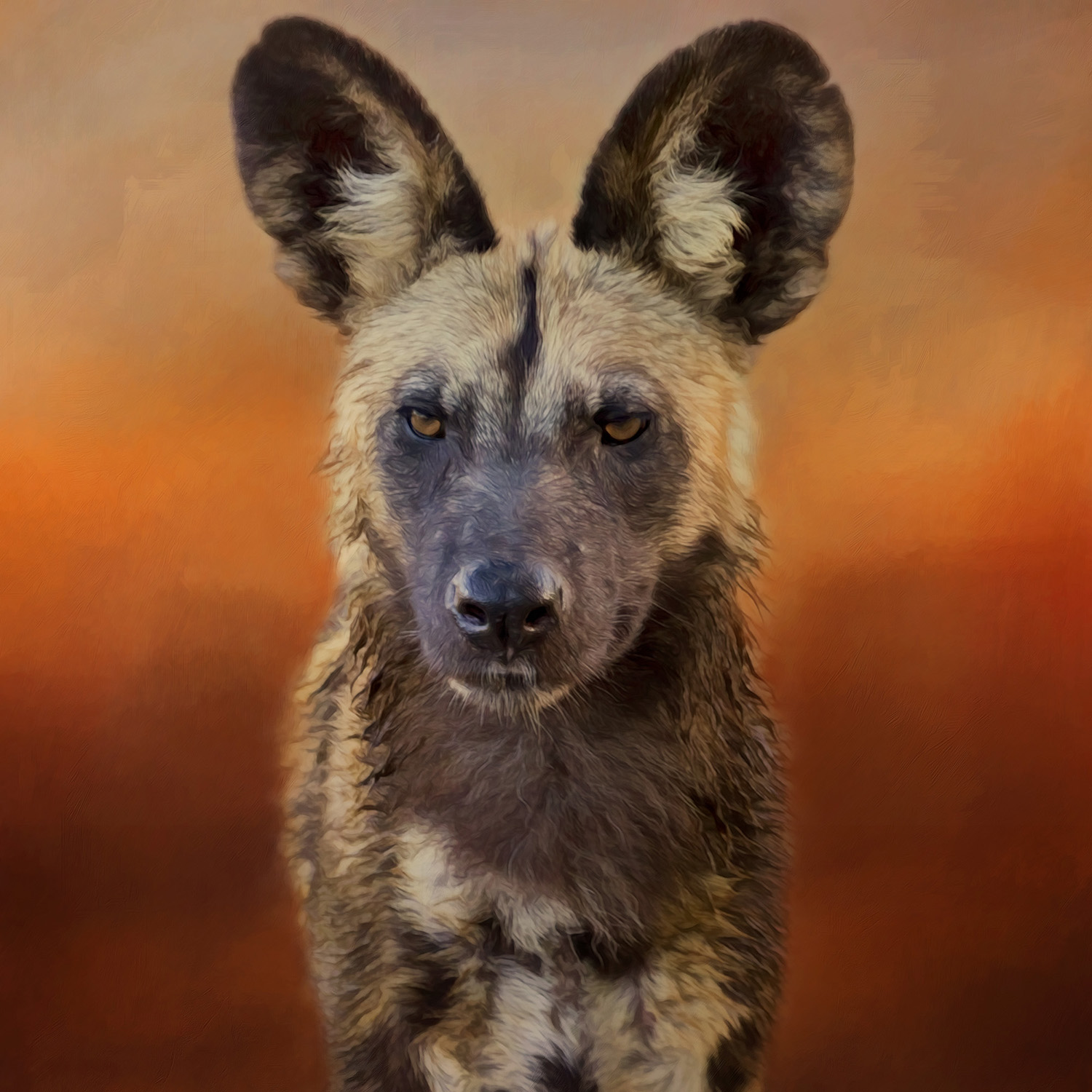 AFRICAN WILD DOG>