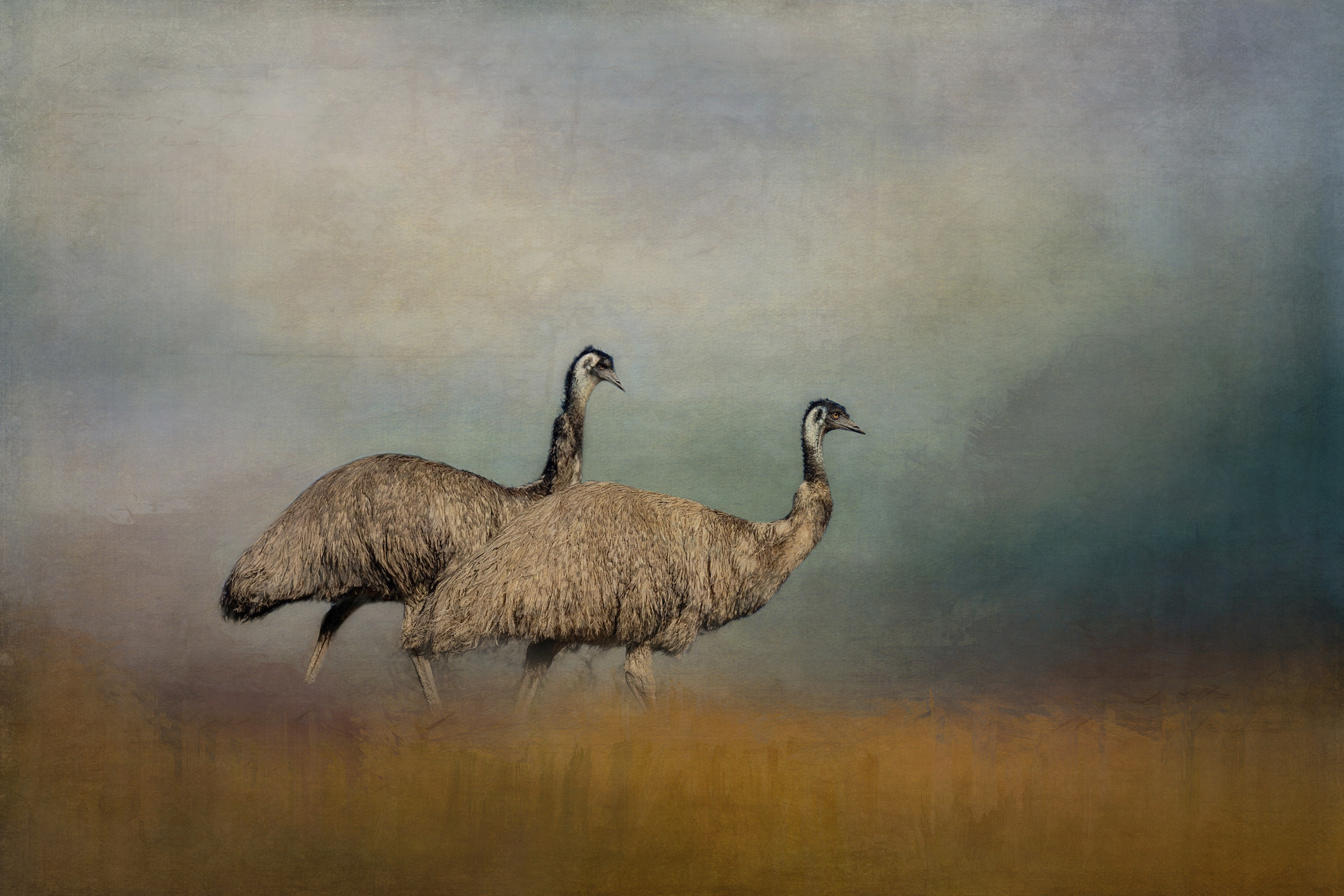 MR & MRS EMU.