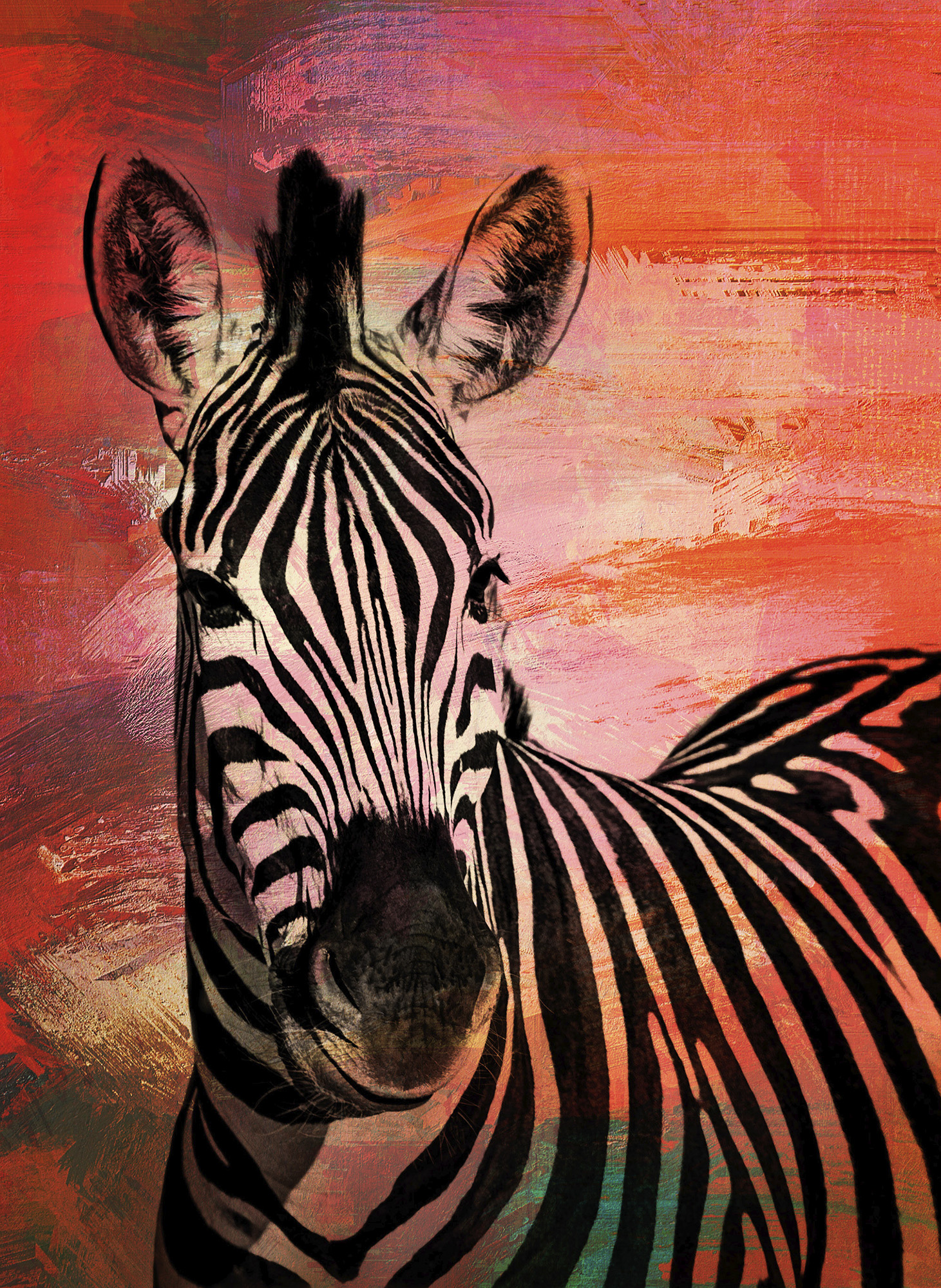 ZEBRA.