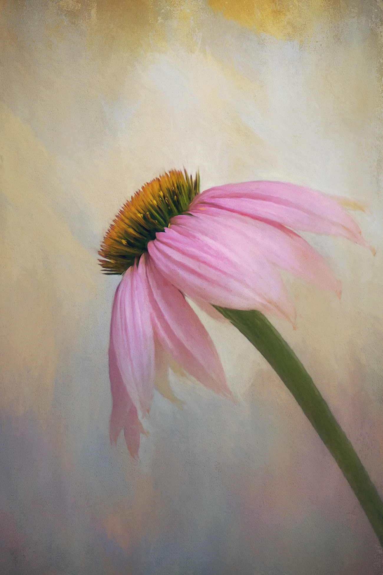Flowers Sabvaningphotoart