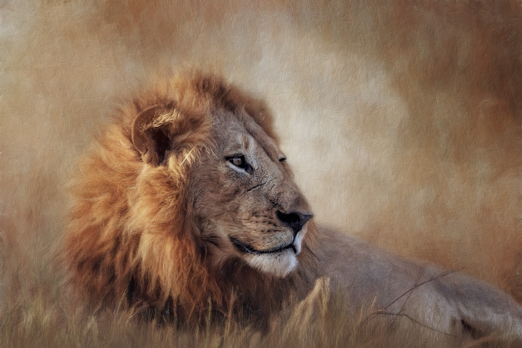 The lion denotes power, aggression and might.