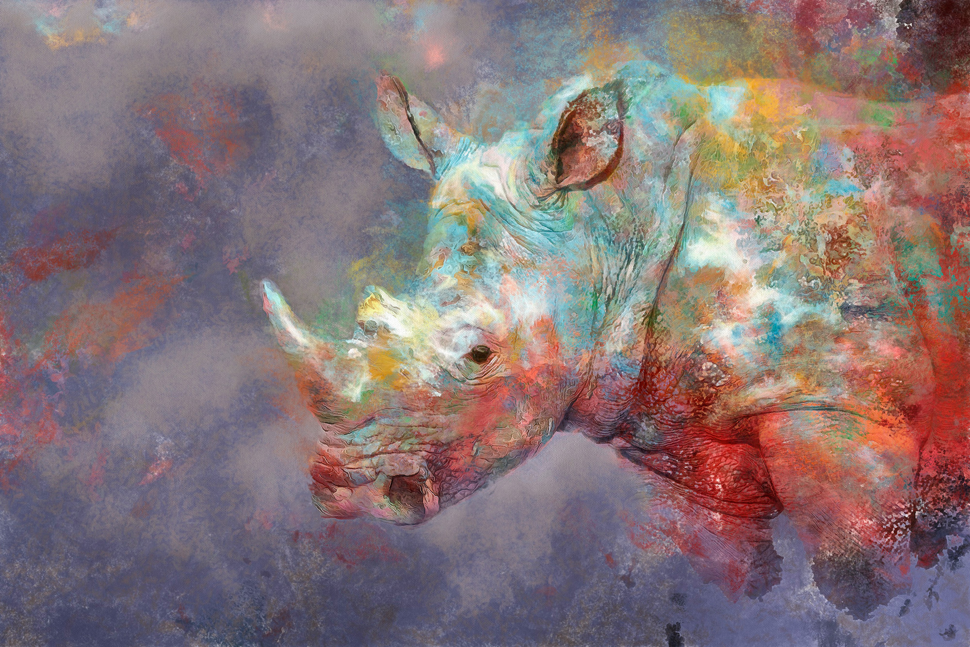 RHINO...Abstract.