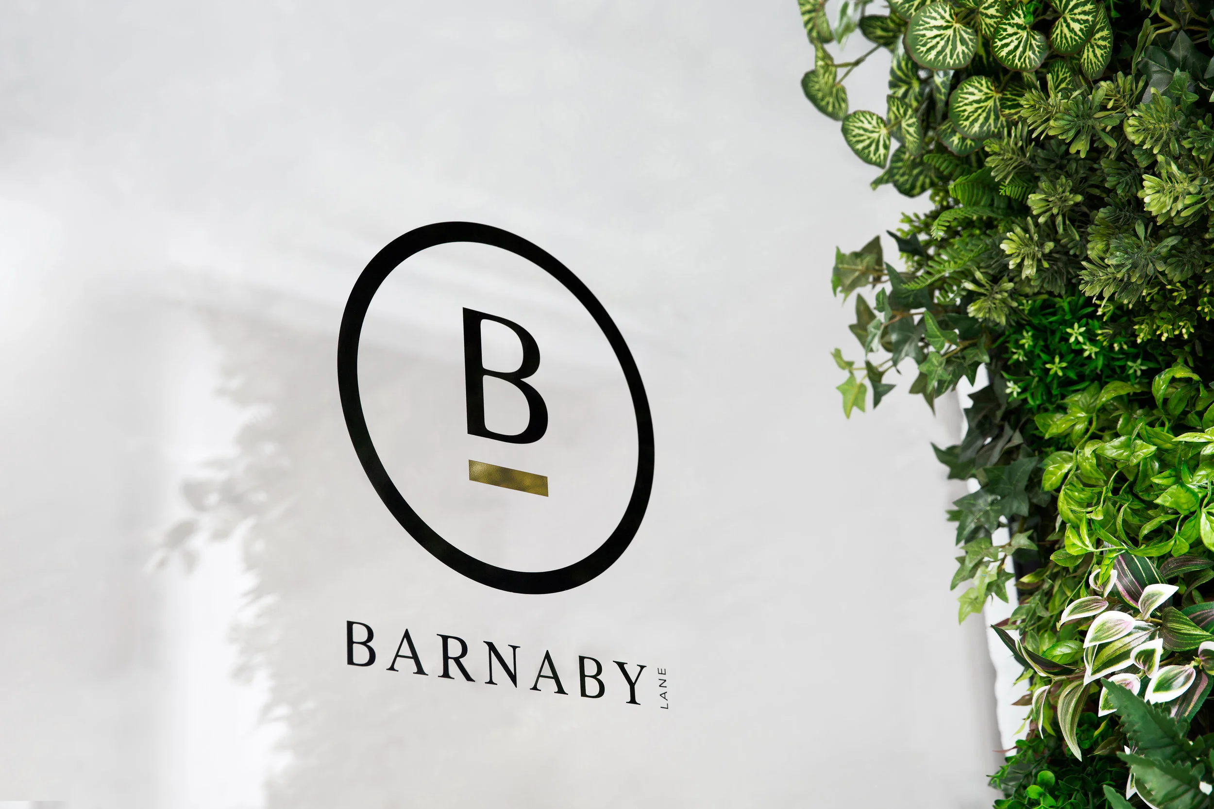 Barnaby lane .jpg
