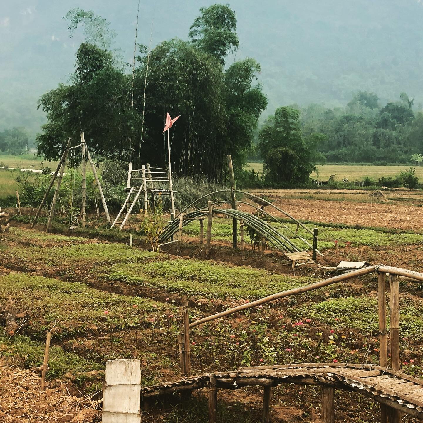 Mixing work &amp; play in the fields of Mai Chau #natureplay