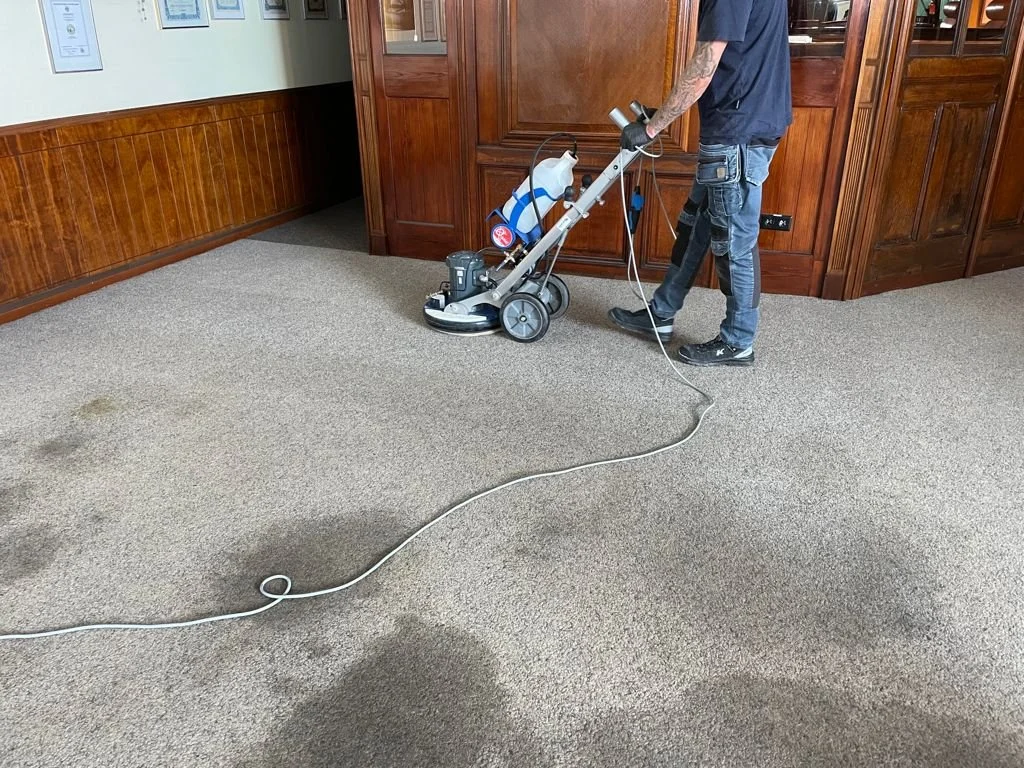 Professionelle Teppichreinigung