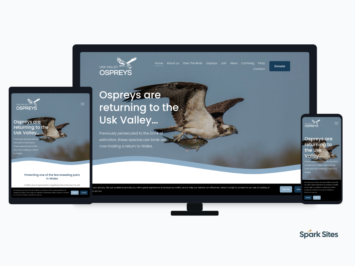 Usk Valley Ospreys