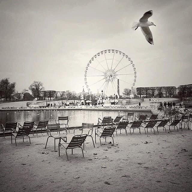 Paris moments on distance 
.
.

#paris #bird #flying #keepsmiling #keepyourheadup #dowhatyoulove #enjoylife #artphotography #cityoflove #passion #dedication #photography #love #art #bw #blackandwhite #staysafe #france #missingparis