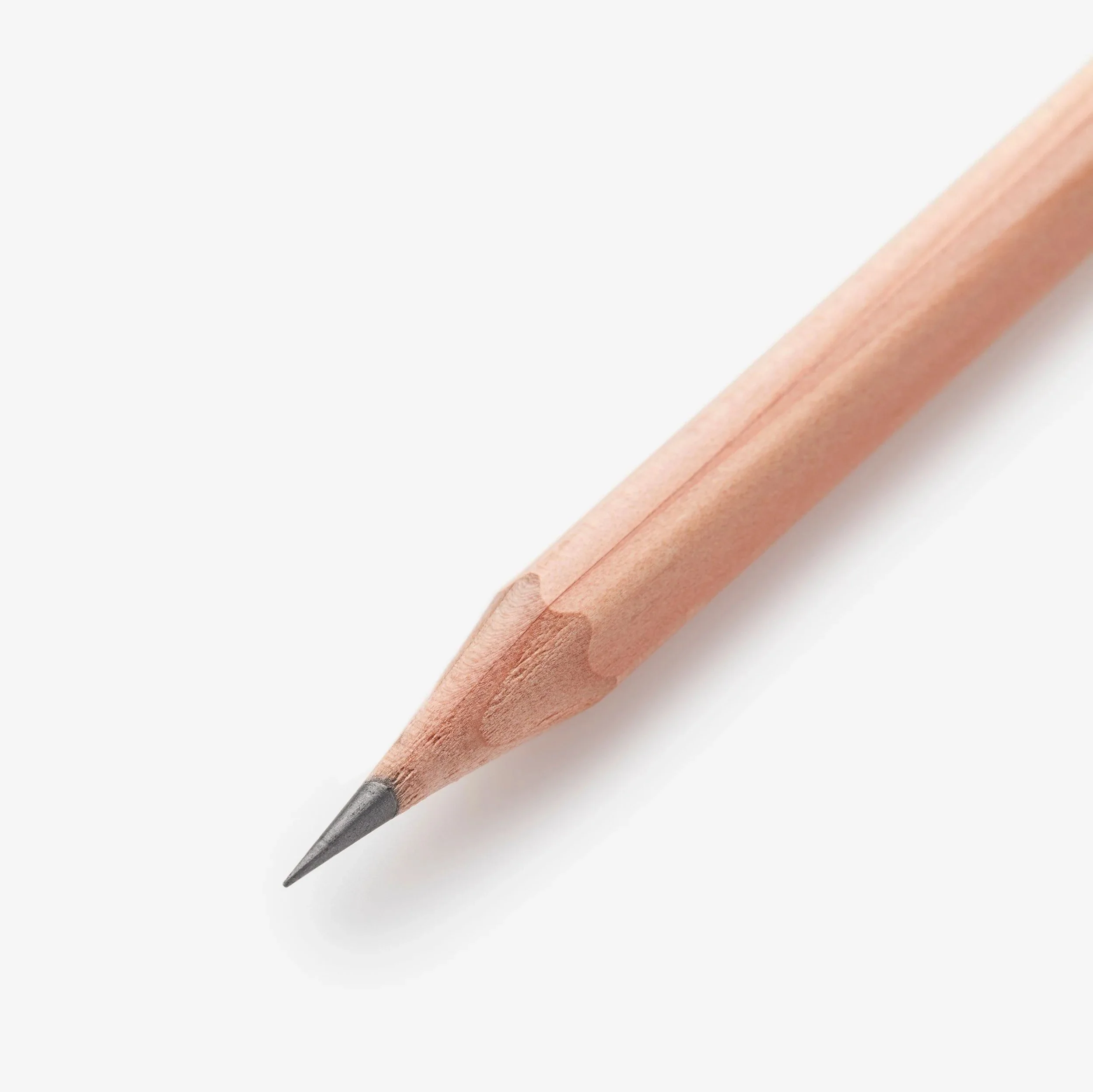 PE-N-02.jpg
