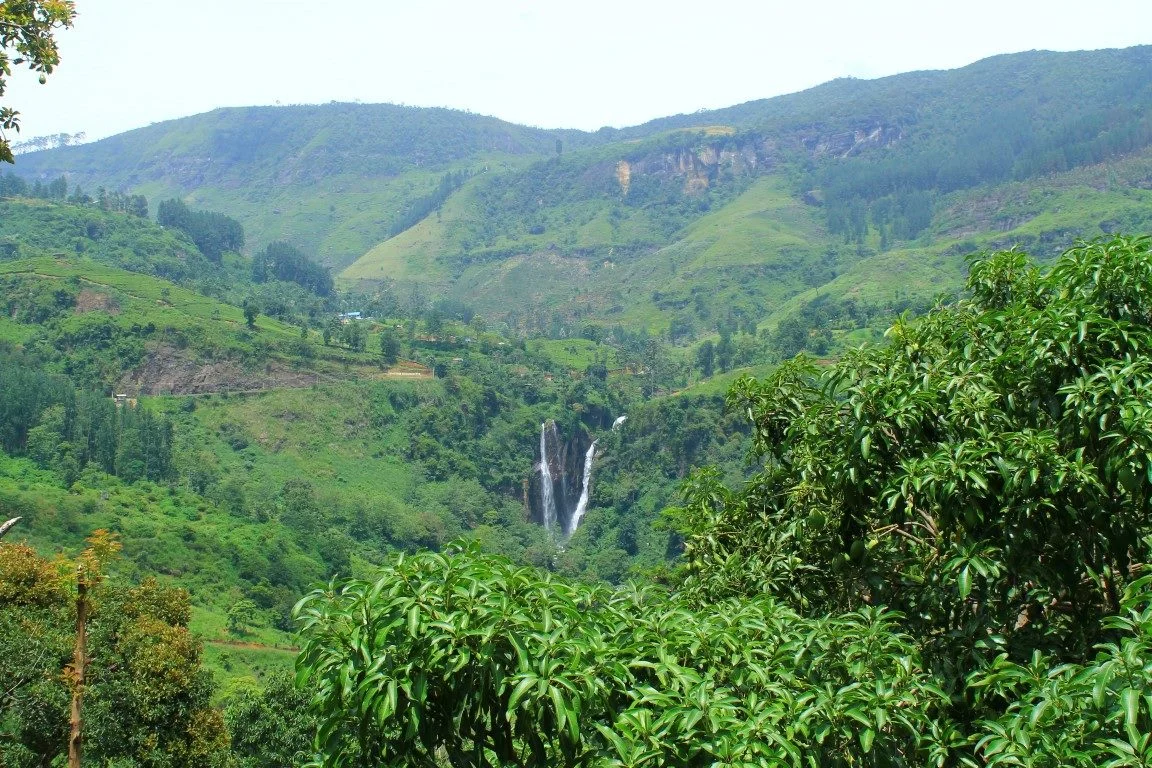 Check out more photos of nuwara eliya in my facebook album .