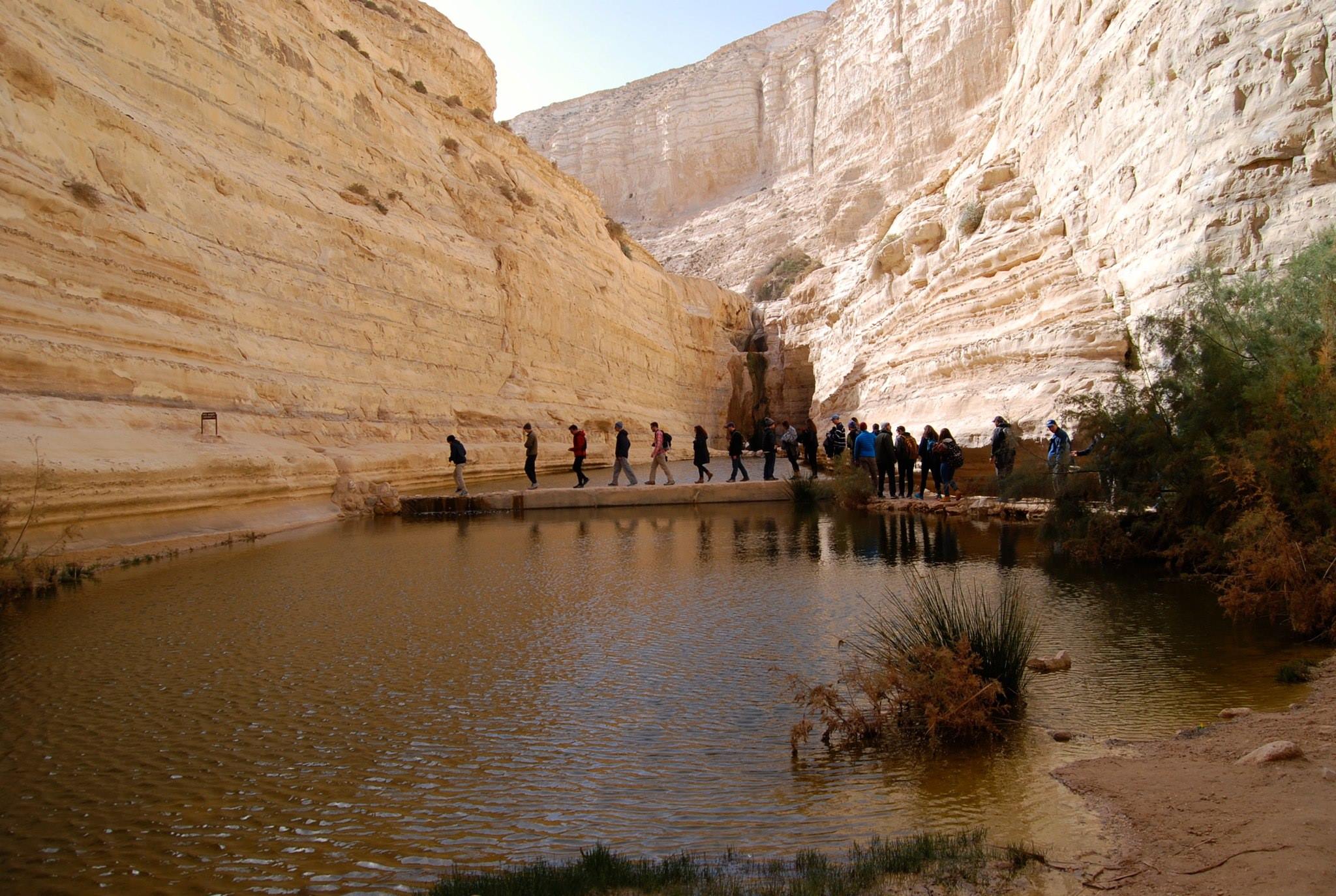 Crossing the Ein Avdat Oasis in the Negev Desert, Israel. 
