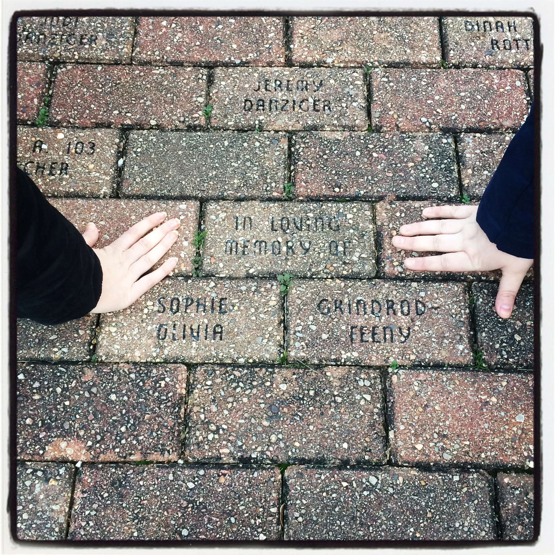 My sister Grace and I at Sophie's memorial in Olbrich Botanical Gardens, Madison, WI. 