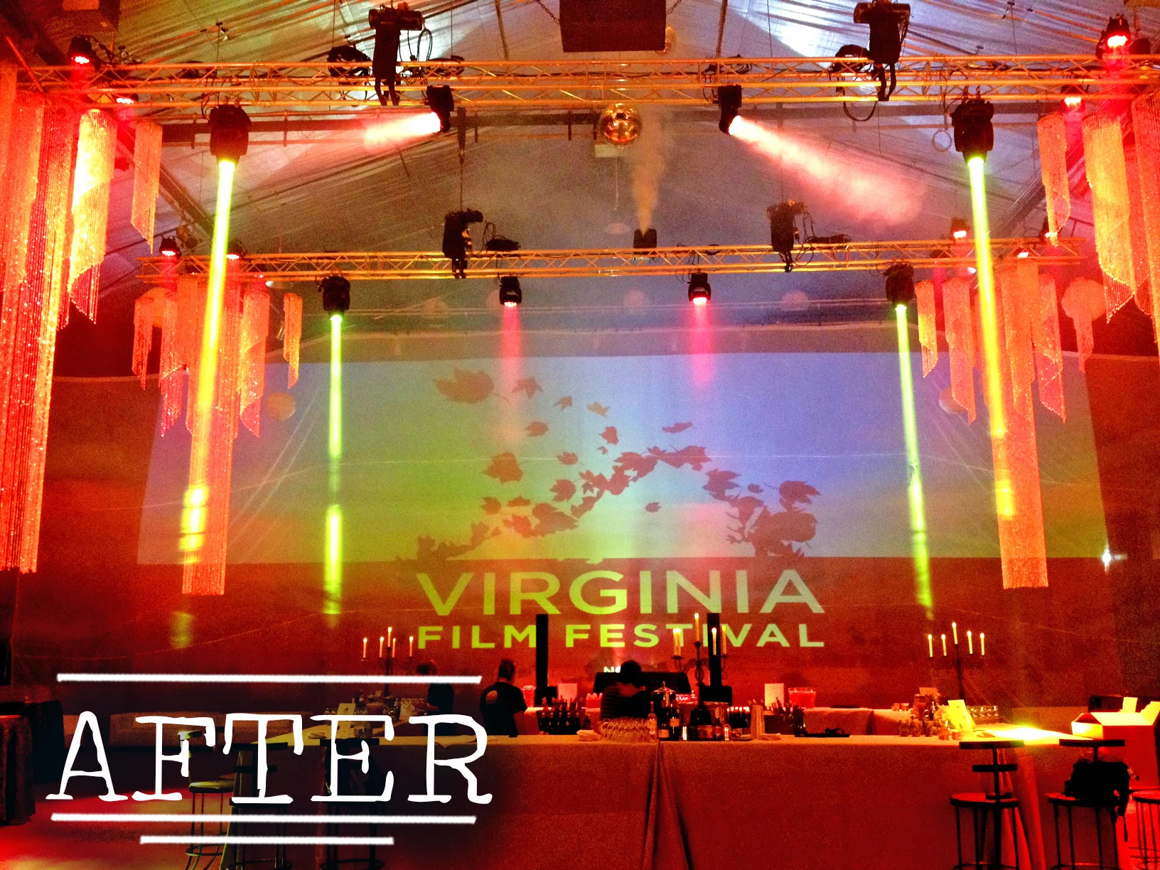 Virginia-Film-Festival-Wrap-Party-event-AV4.jpg