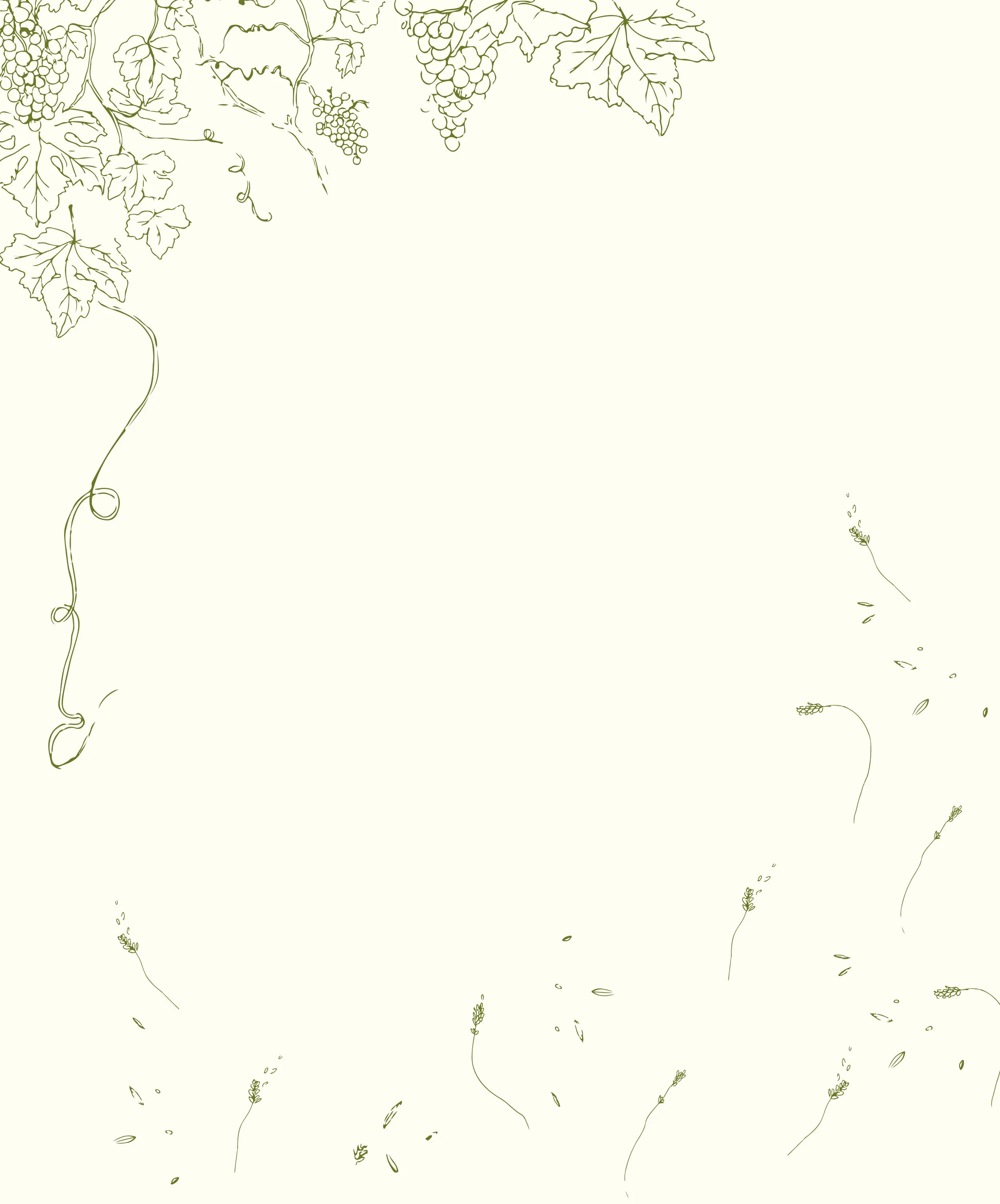 Background1.jpg