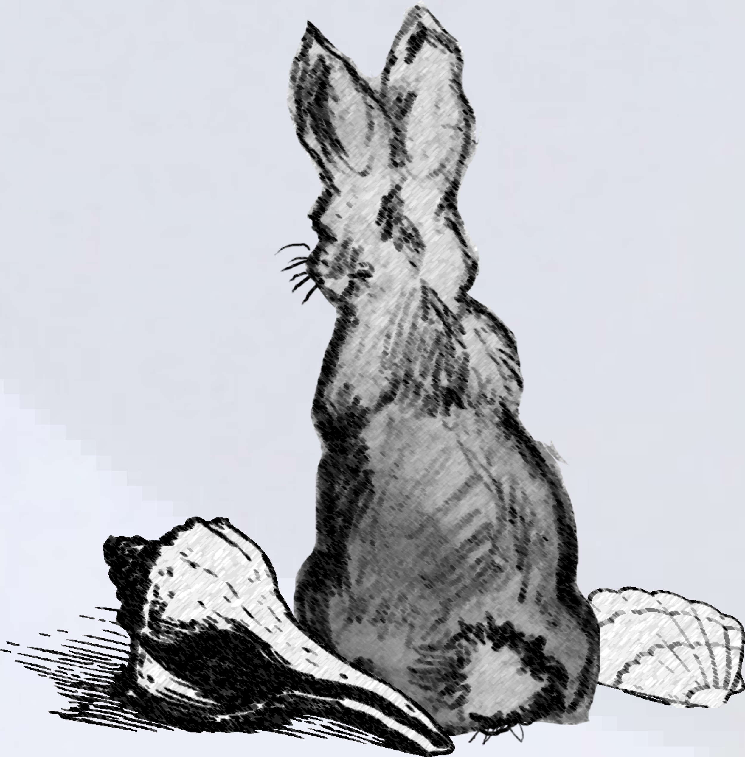 Rabbit-10.png