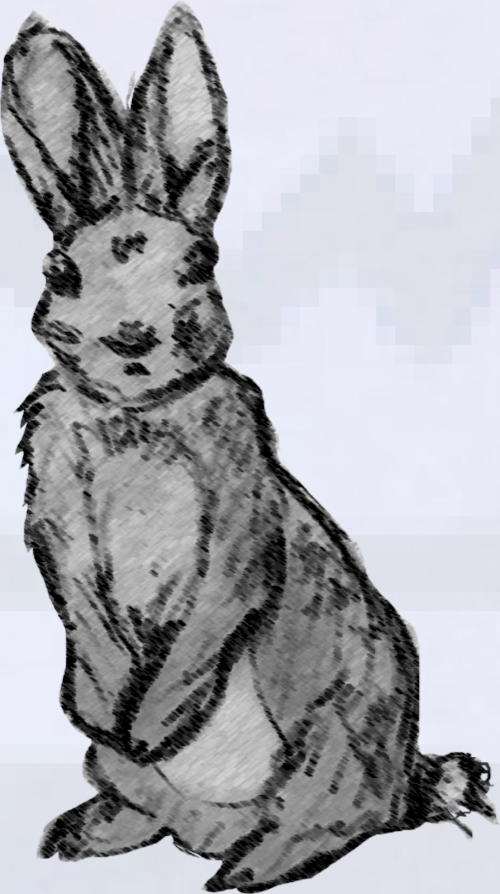 Rabbit-08.png