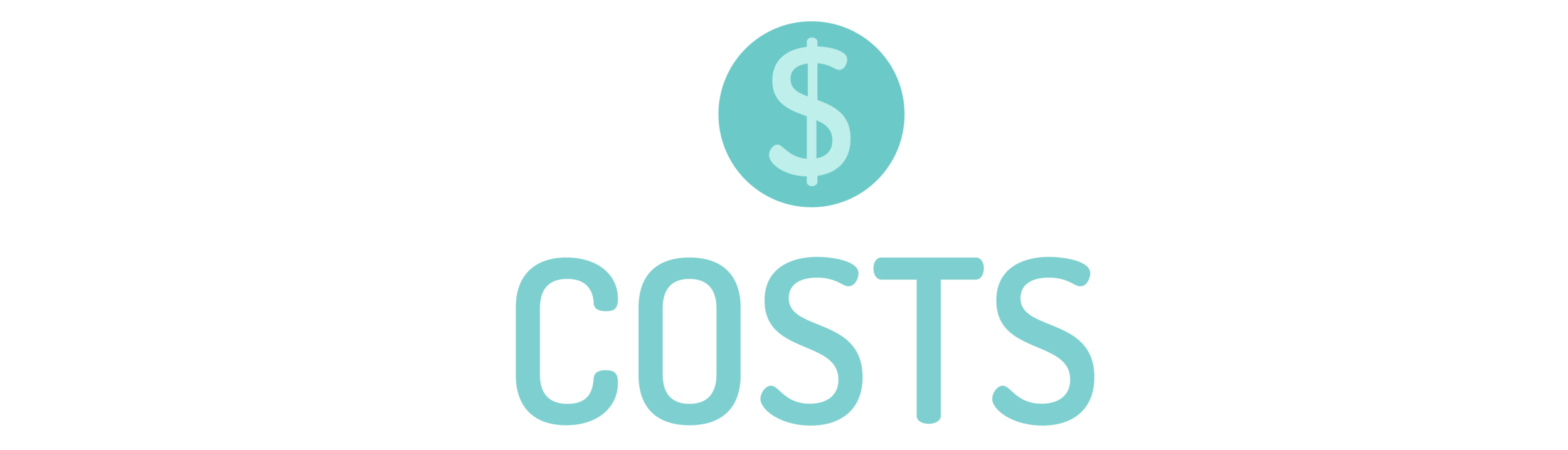 graphic symbolizing "Costs"