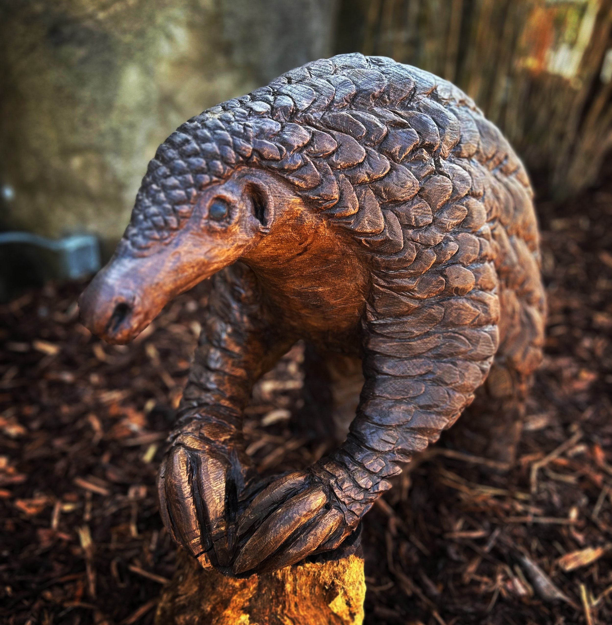 Celebrating a long working relationship with insanely skilled wood carver Luke Chapman, some spectacular pieces he&rsquo;s contributed to our projects in the last couple of years. @chapman_luke @gainsoldhall @chesterzoo #museuminterpretation #museums