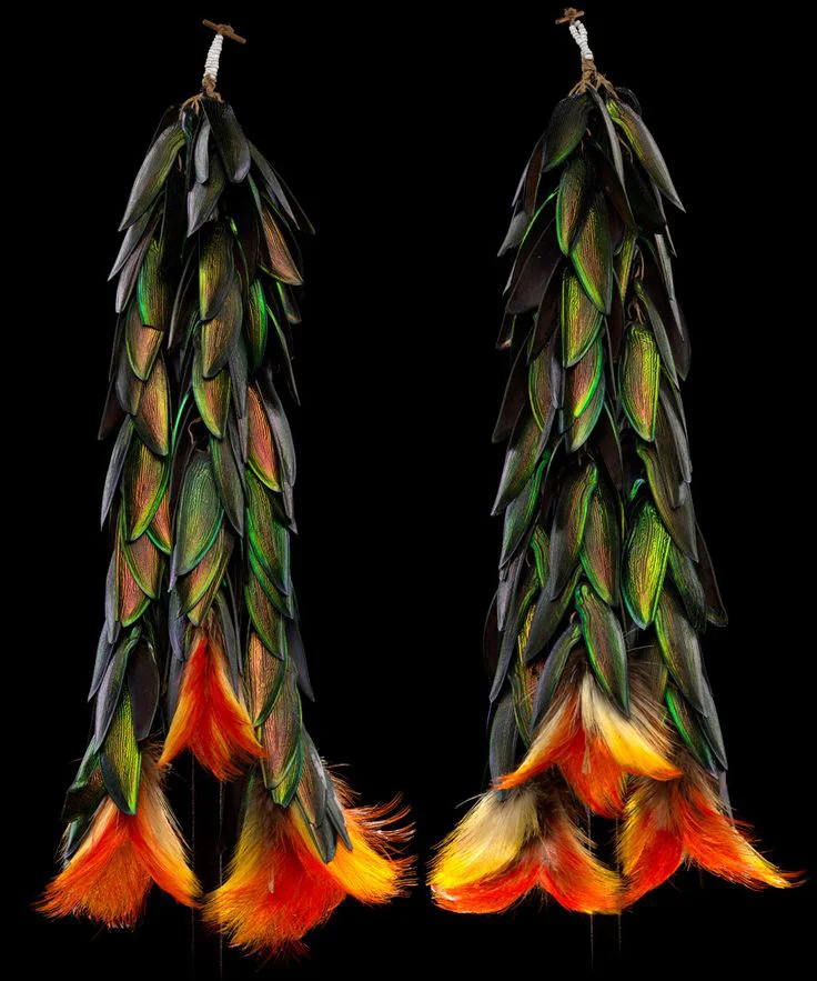 Earrings of an Amazonian Tribe made of beetle wings and toucan feathers