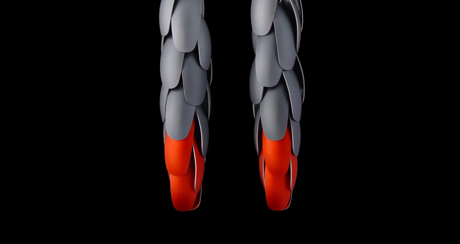 African Grey earrings.jpg