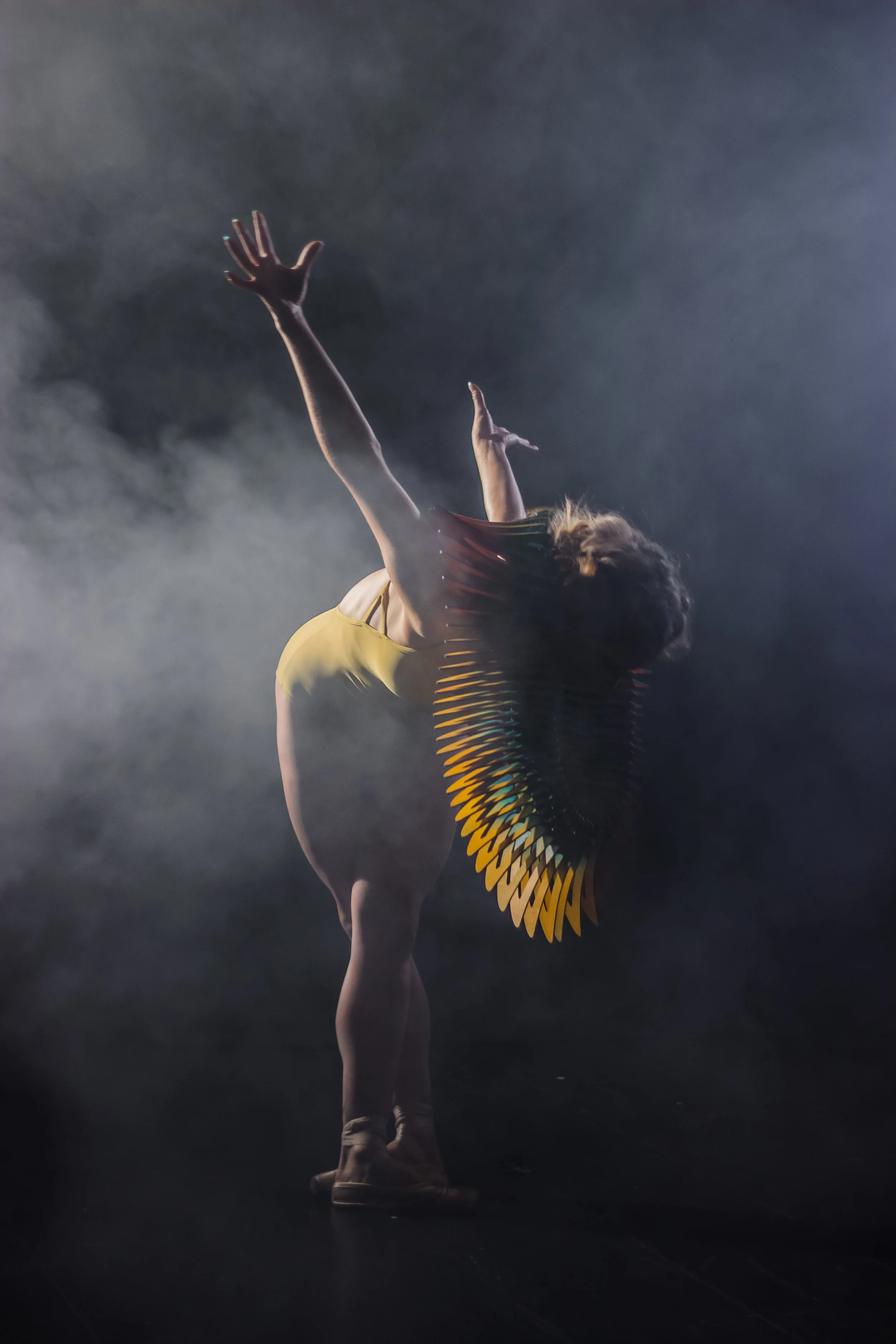 Photograph by Ellen Alberti 4.jpg