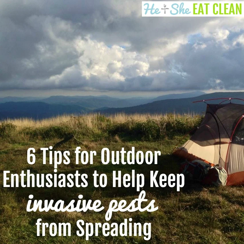 6 Tips for Outdoor Enthusiasts to Help Keep Invasive Pests from Spreading