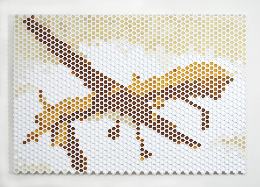 Drone, beeswax and plexiglas, 23 x 25 x 1 in.