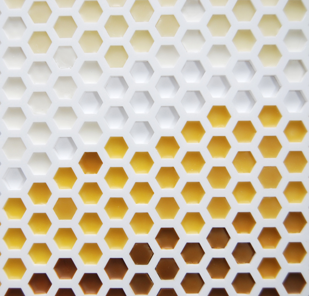 Drone (detail), beeswax and plexiglas, 23 x 35 x 1 in.