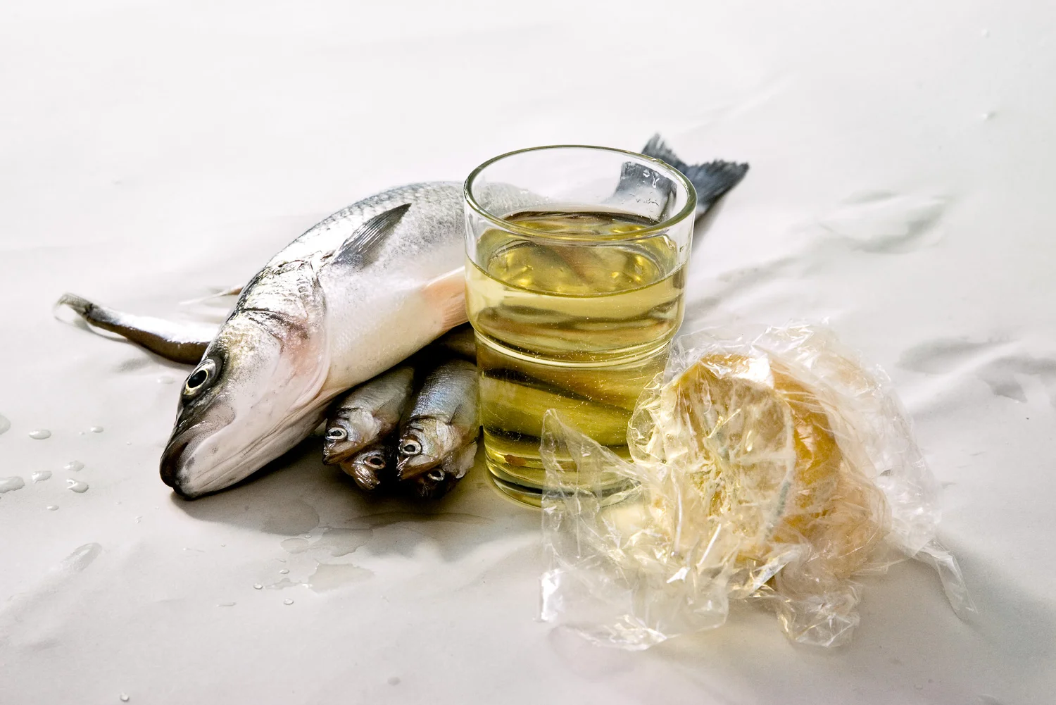 A milkfish and four female Capelin