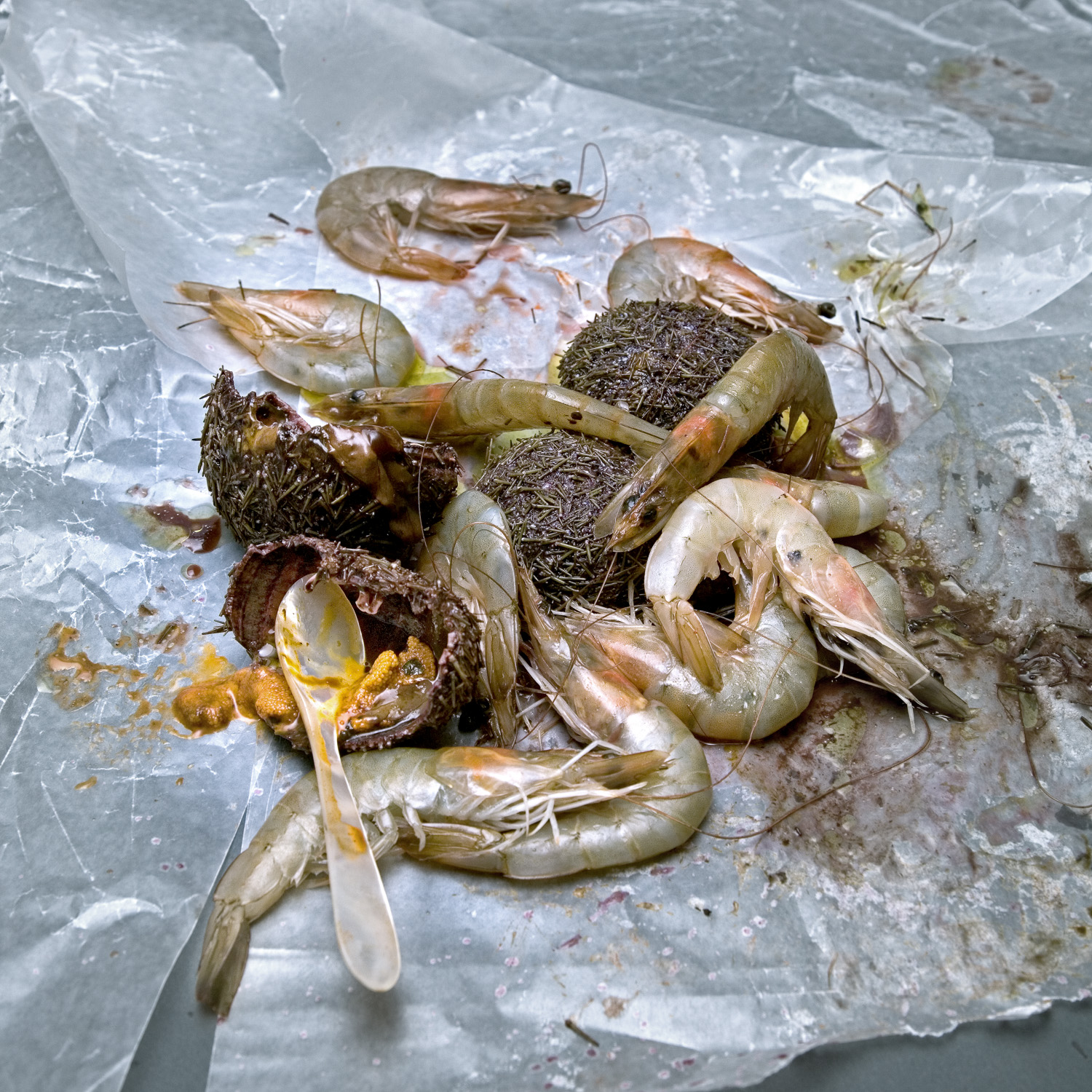 Shrimps and sea urchins with an ablone spoon
