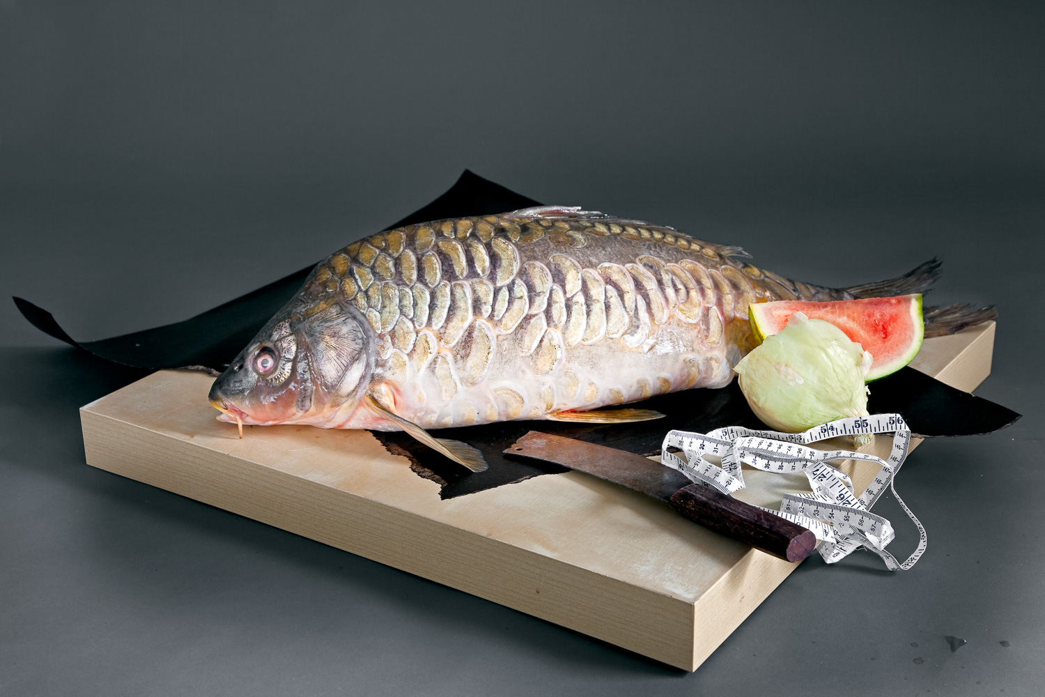 There are more Carp raised for food than any other fish and no two look alike.