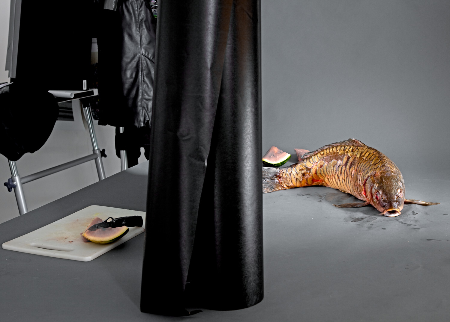 A Carp on my studio table before the final arrangement for a picture.