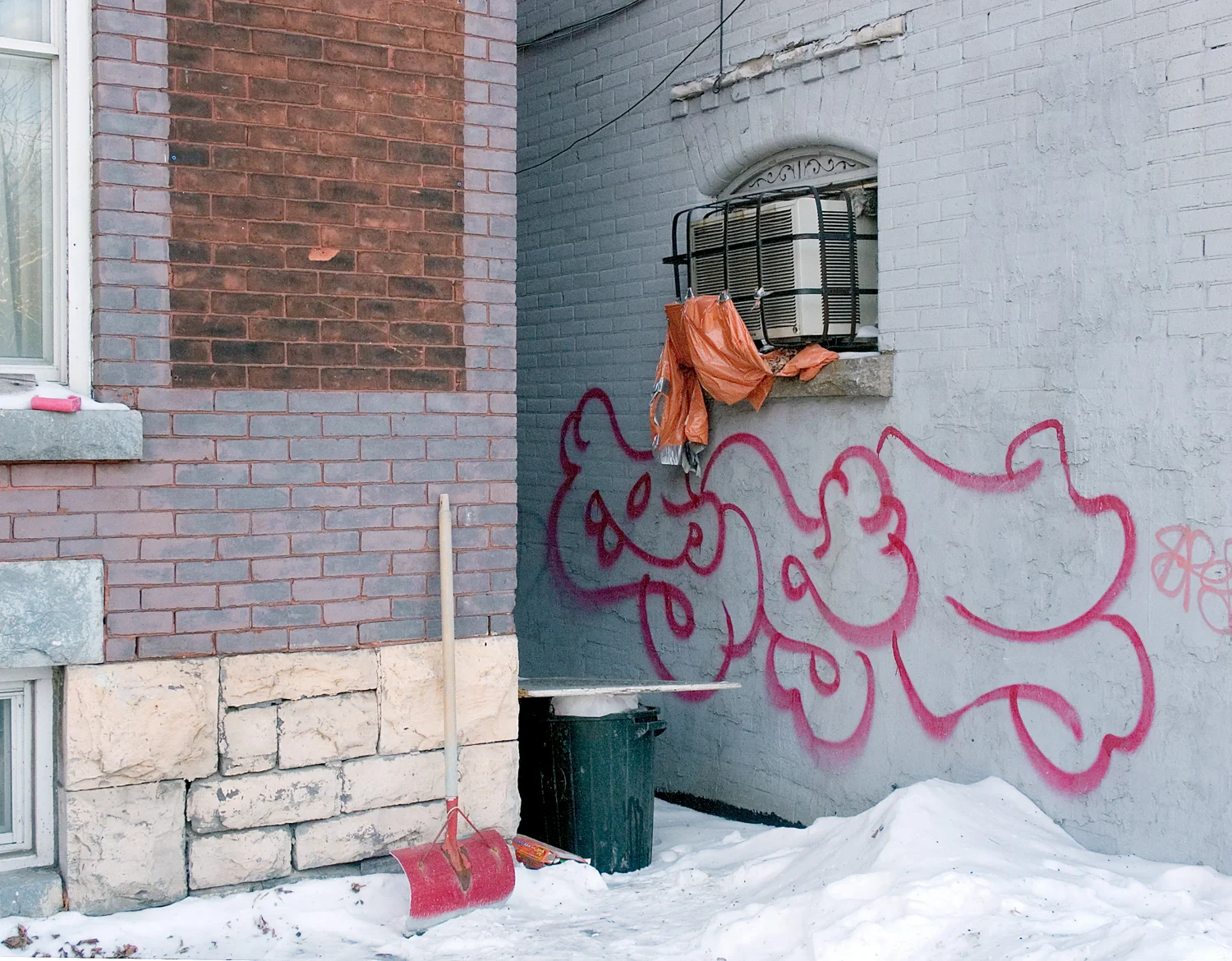 Dragon Graffitti