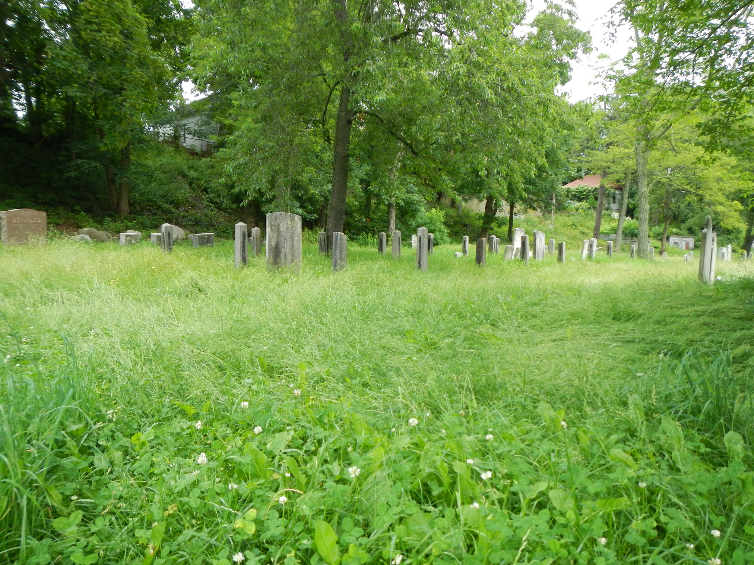 Porltand_Western_Cemetery_Viewing_Northeast_2013.JPG