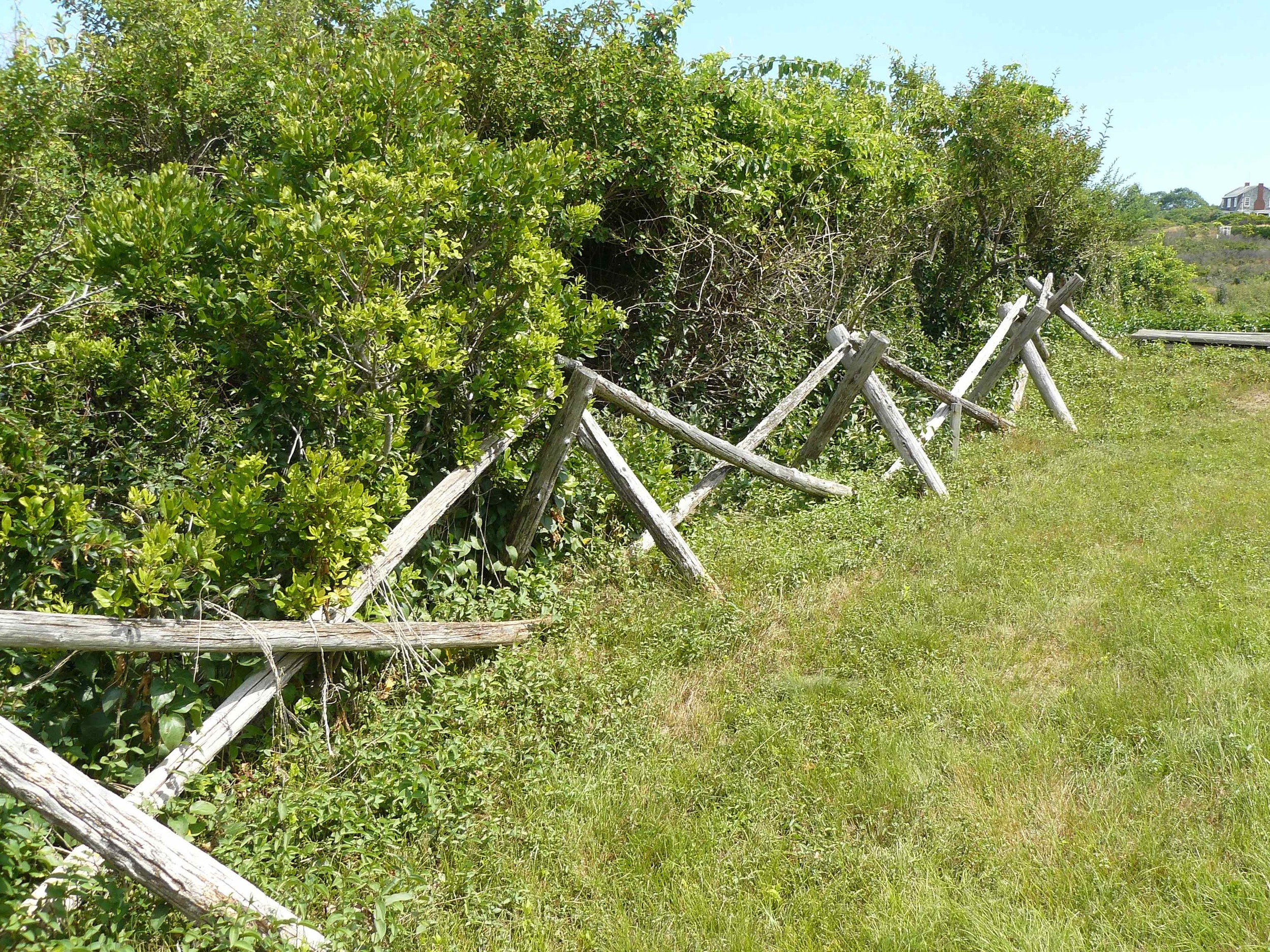 House_Island_July_2012_12_Graves.JPG