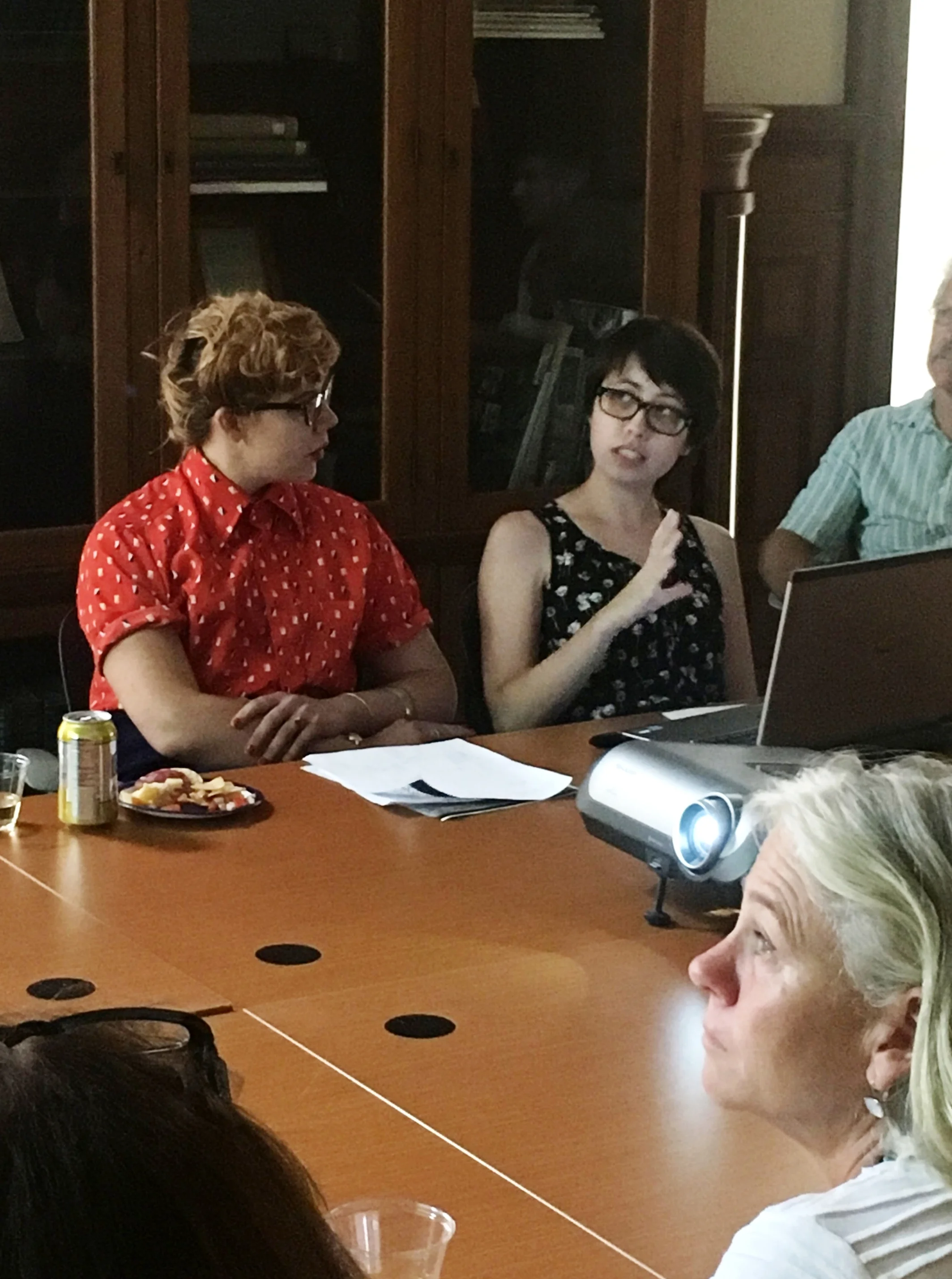 2016 Interns Anastasia Azenaro-Moore & Liz King present the results of the Oakdale and Fessenden Park Survey to Landmarks' Board of Directors