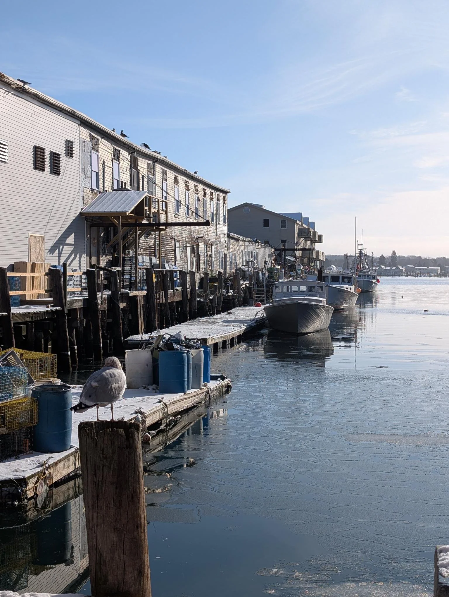 shared image (9).jpg