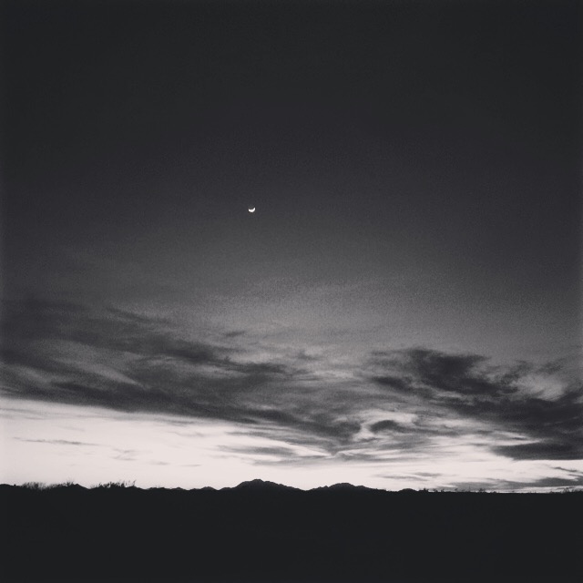 Howlin' at the moon. Arizona Desert. February 2016.