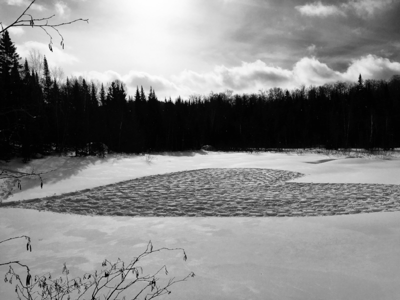 'snow big deal. Feb 2017. Sainte-Lucie des Laurentides, Quebec. 