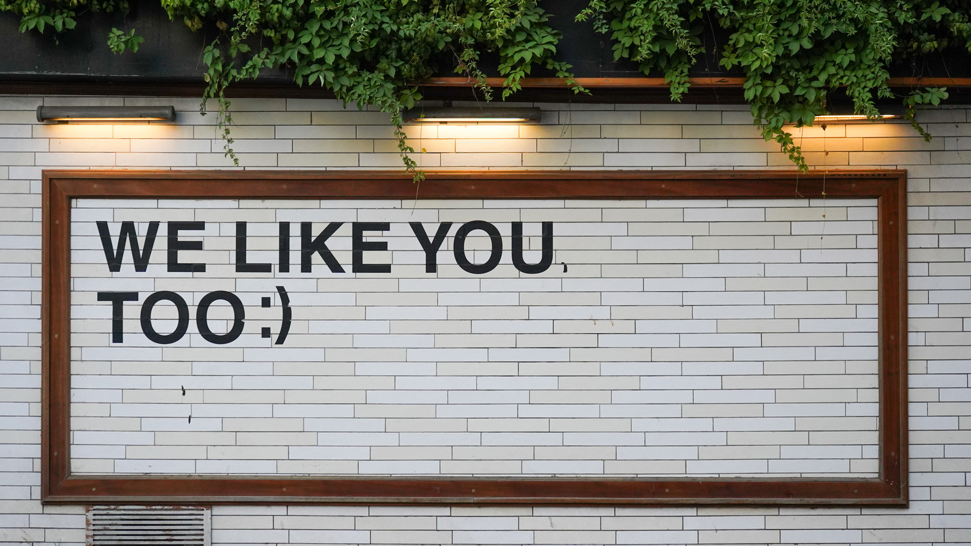 yoav-hornung-764794-unsplash-(1)-Web.jpg
